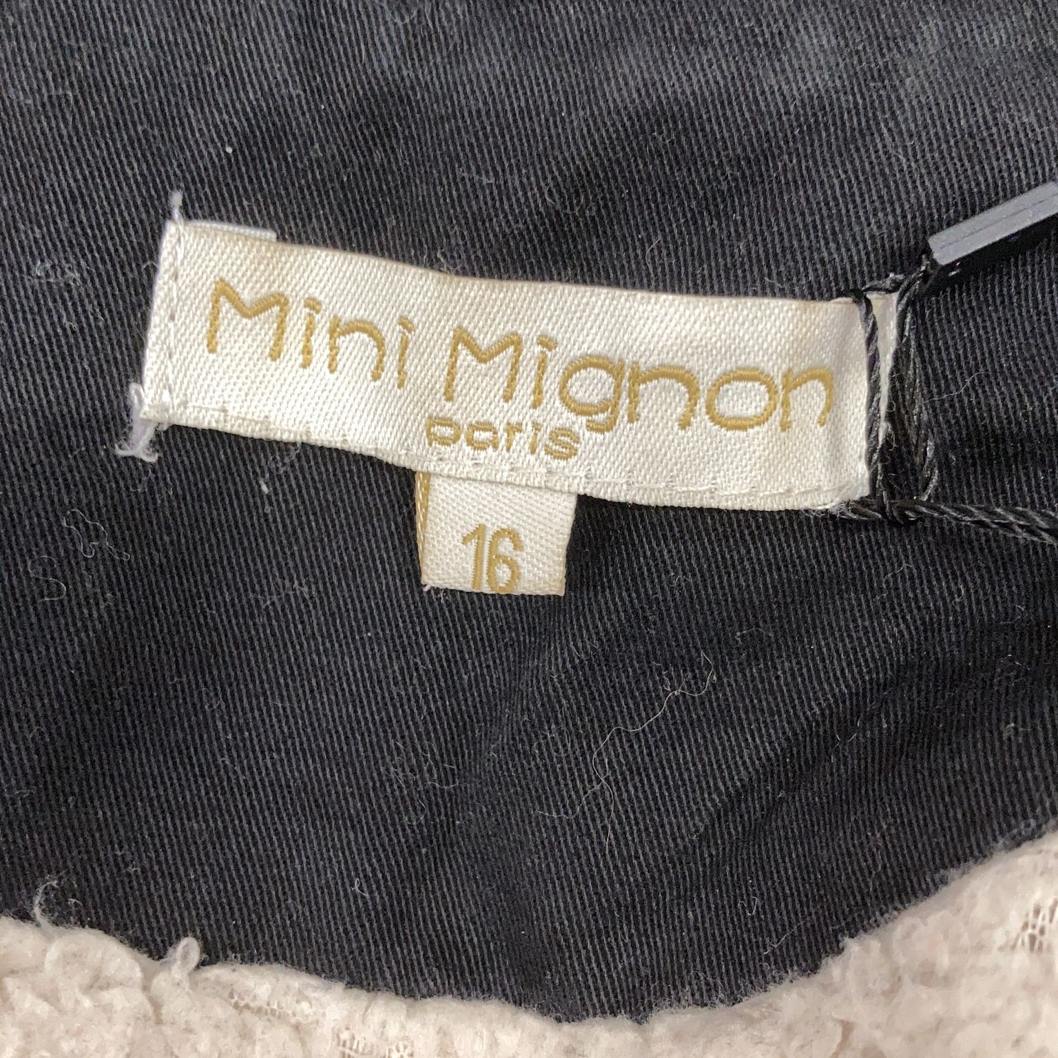 Mini Mignon