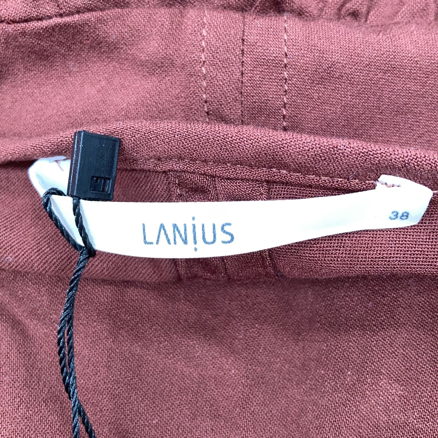 Lanius