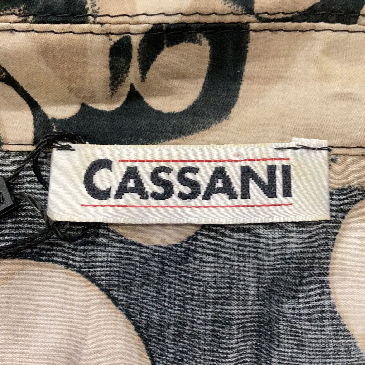 Cassani