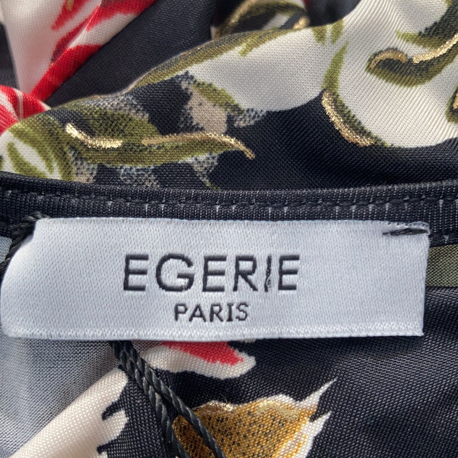 Egerie