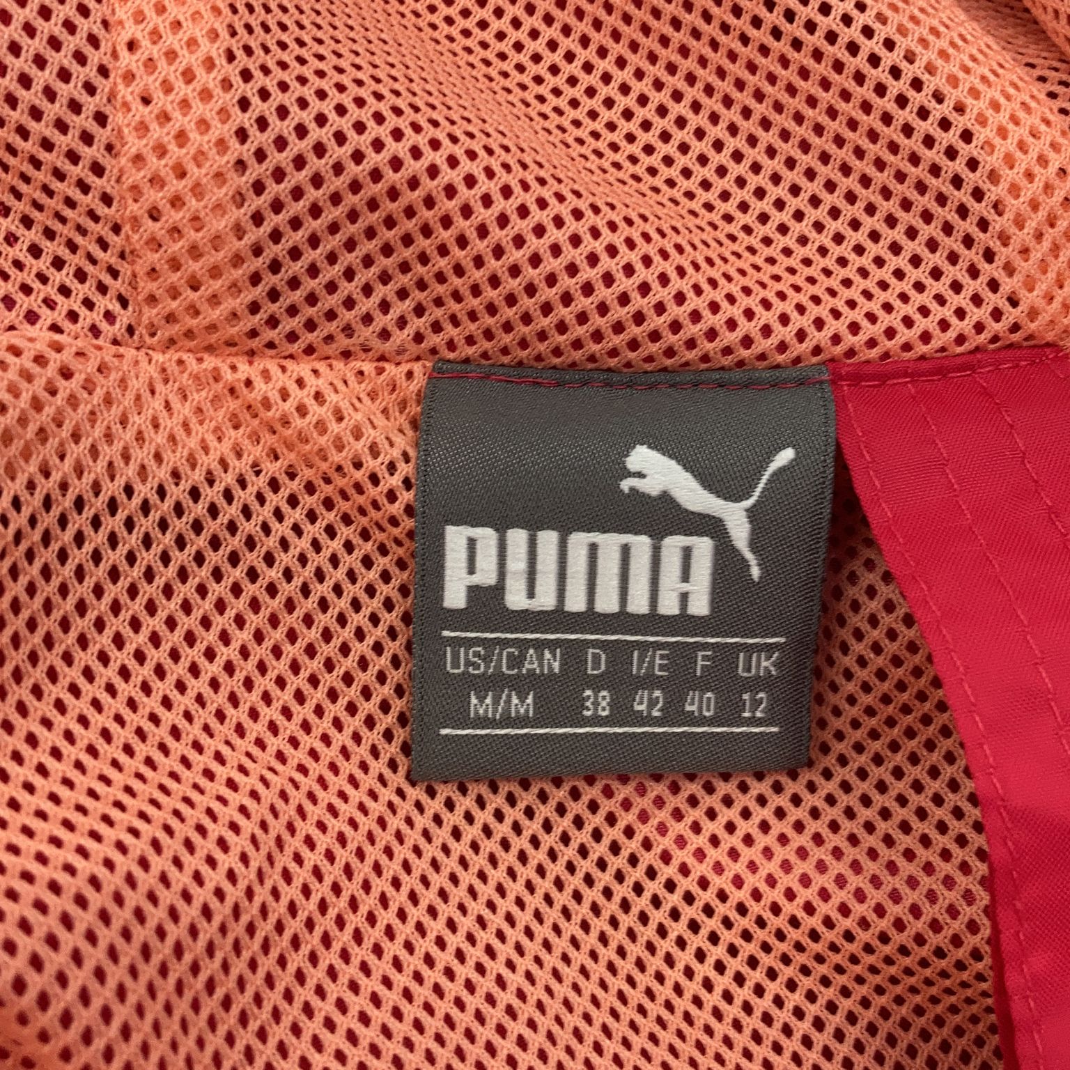 Puma