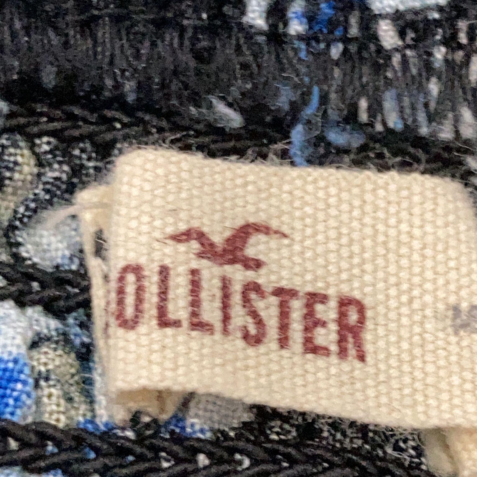 Hollister