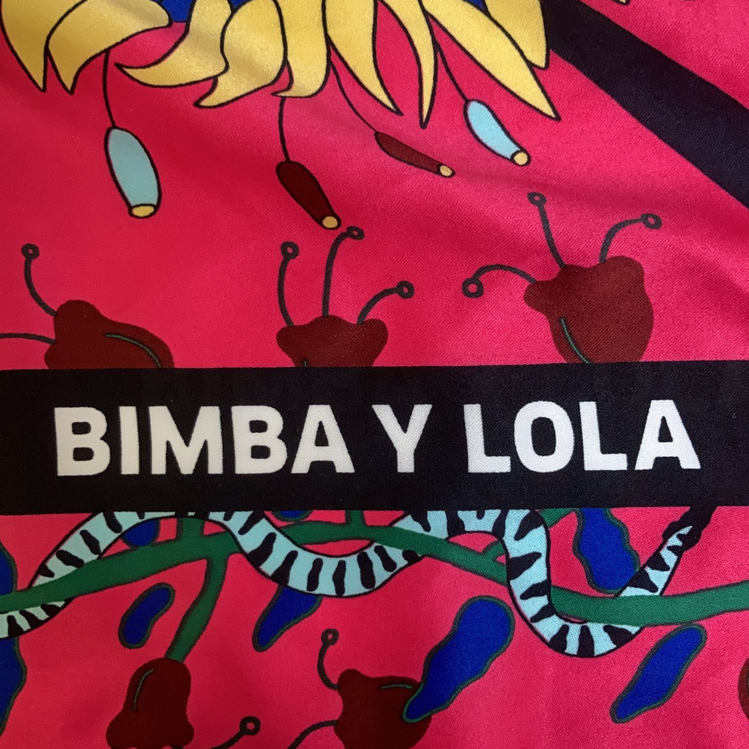 Bimba y Lola