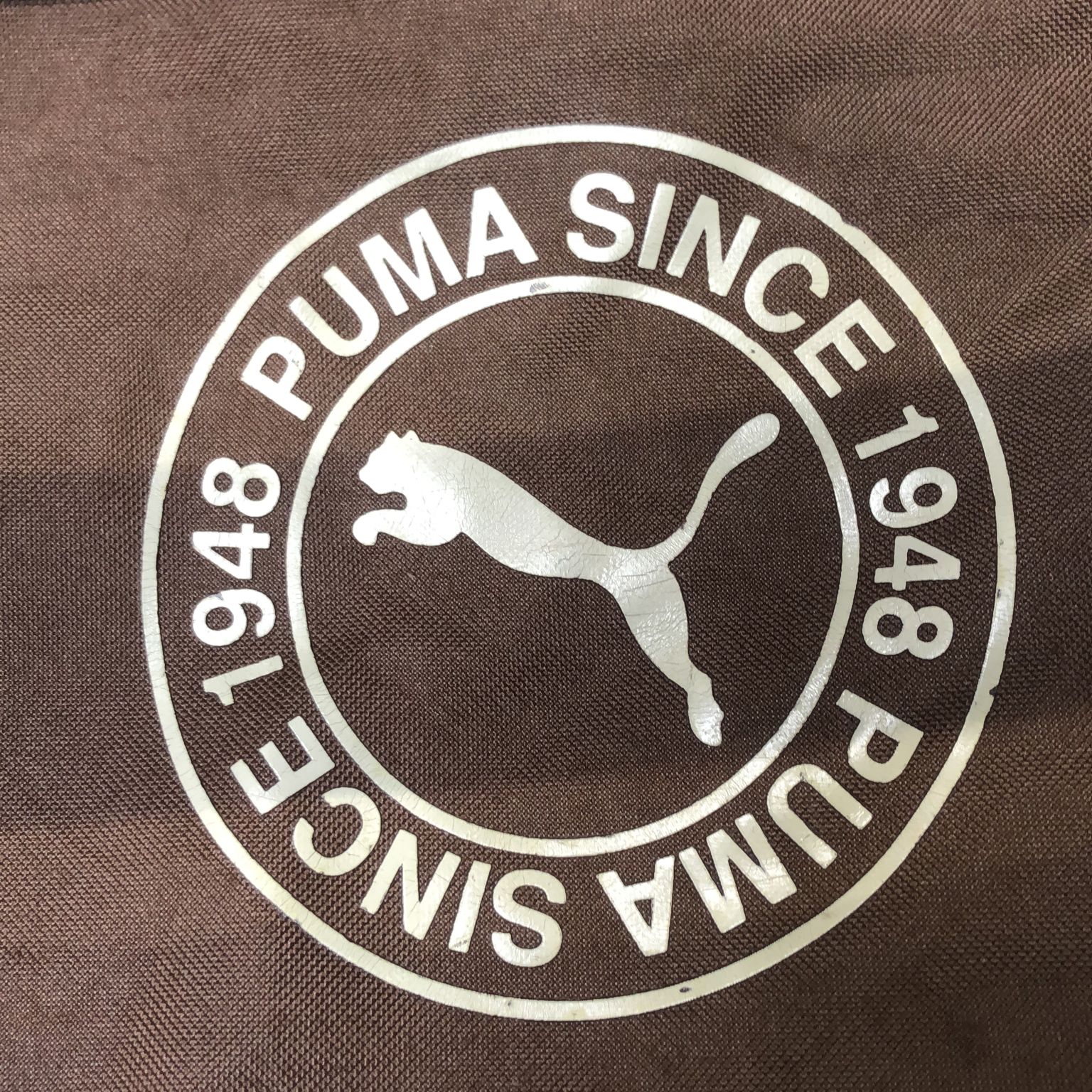 Puma