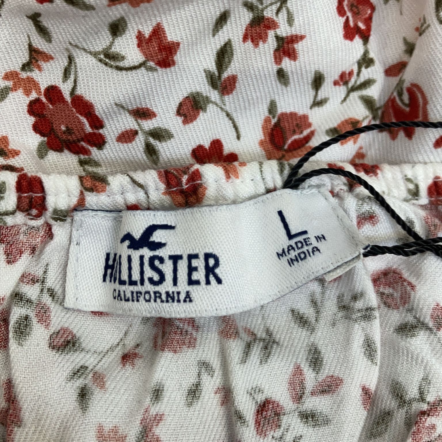 Hollister