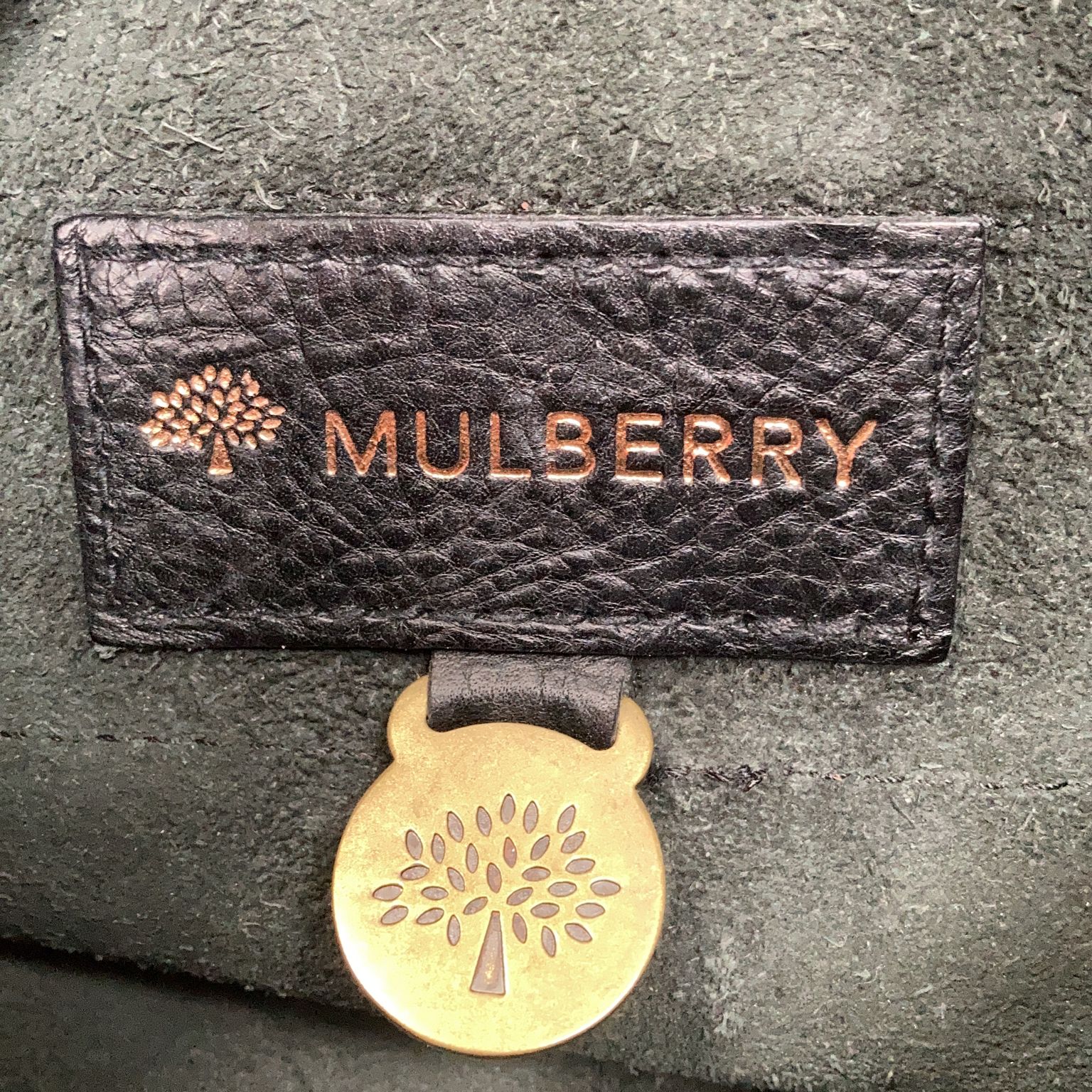 Mulberry