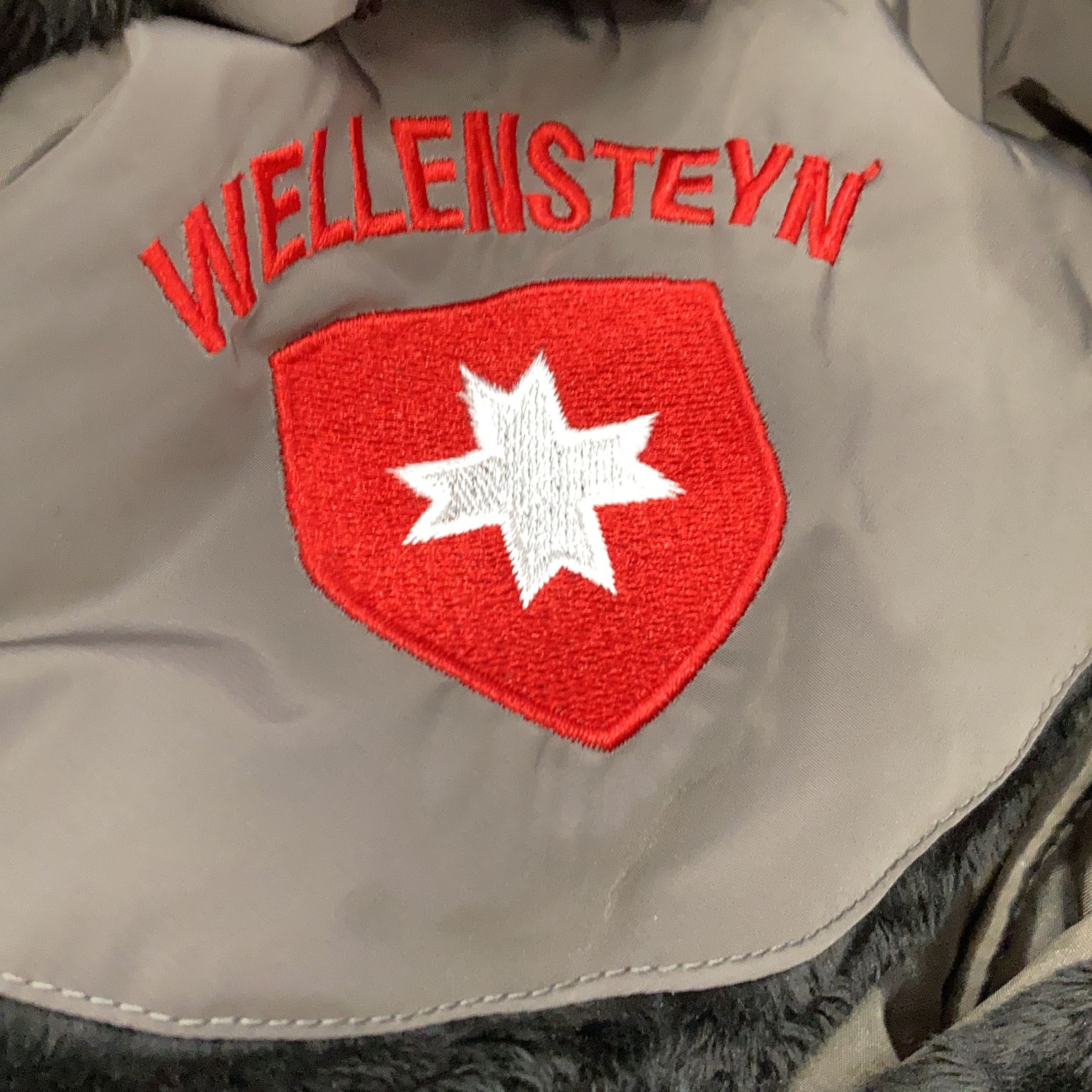 Wellensteyn