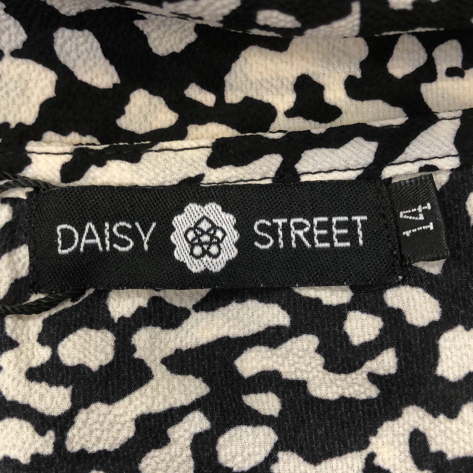 Daisy Street