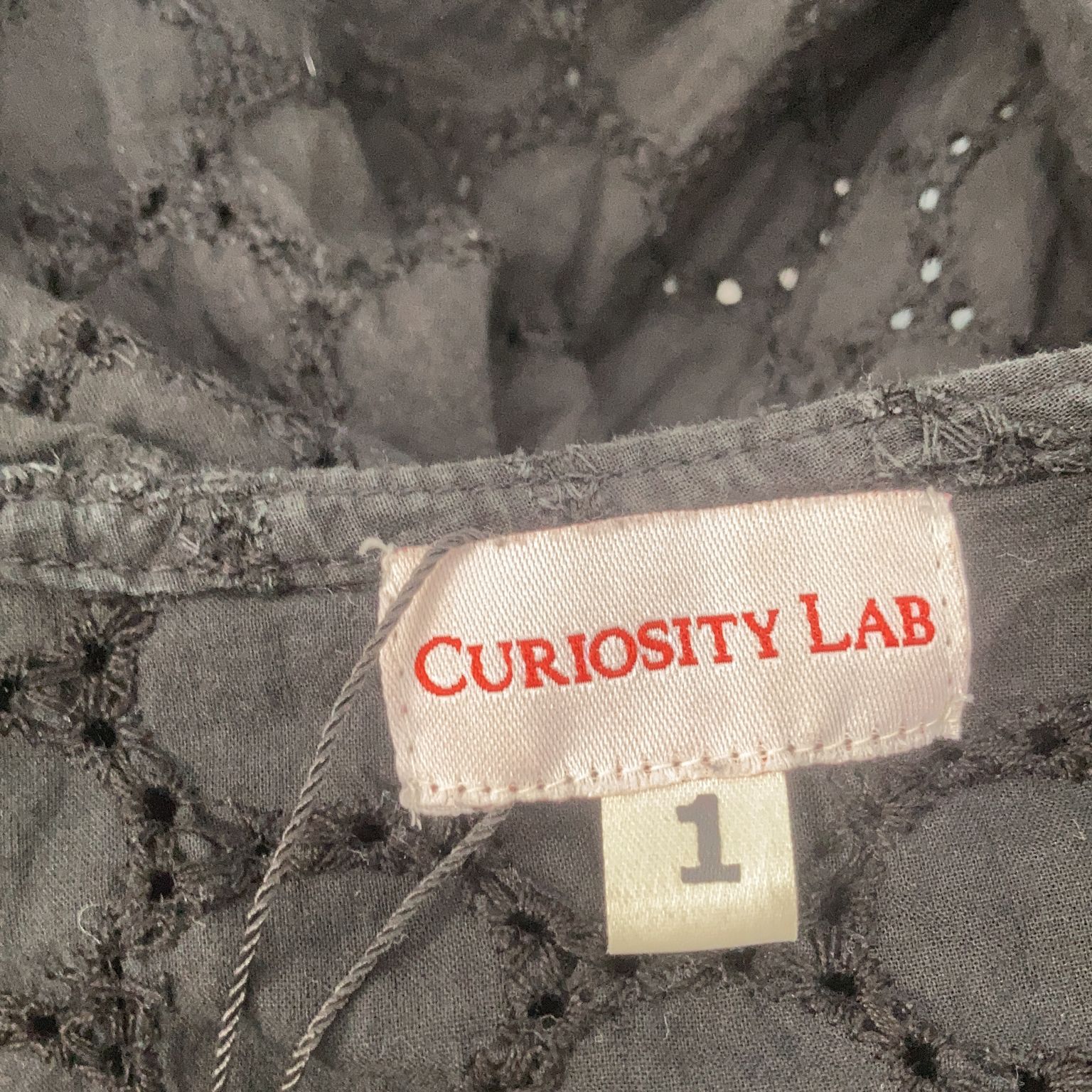 Curiosity Lab