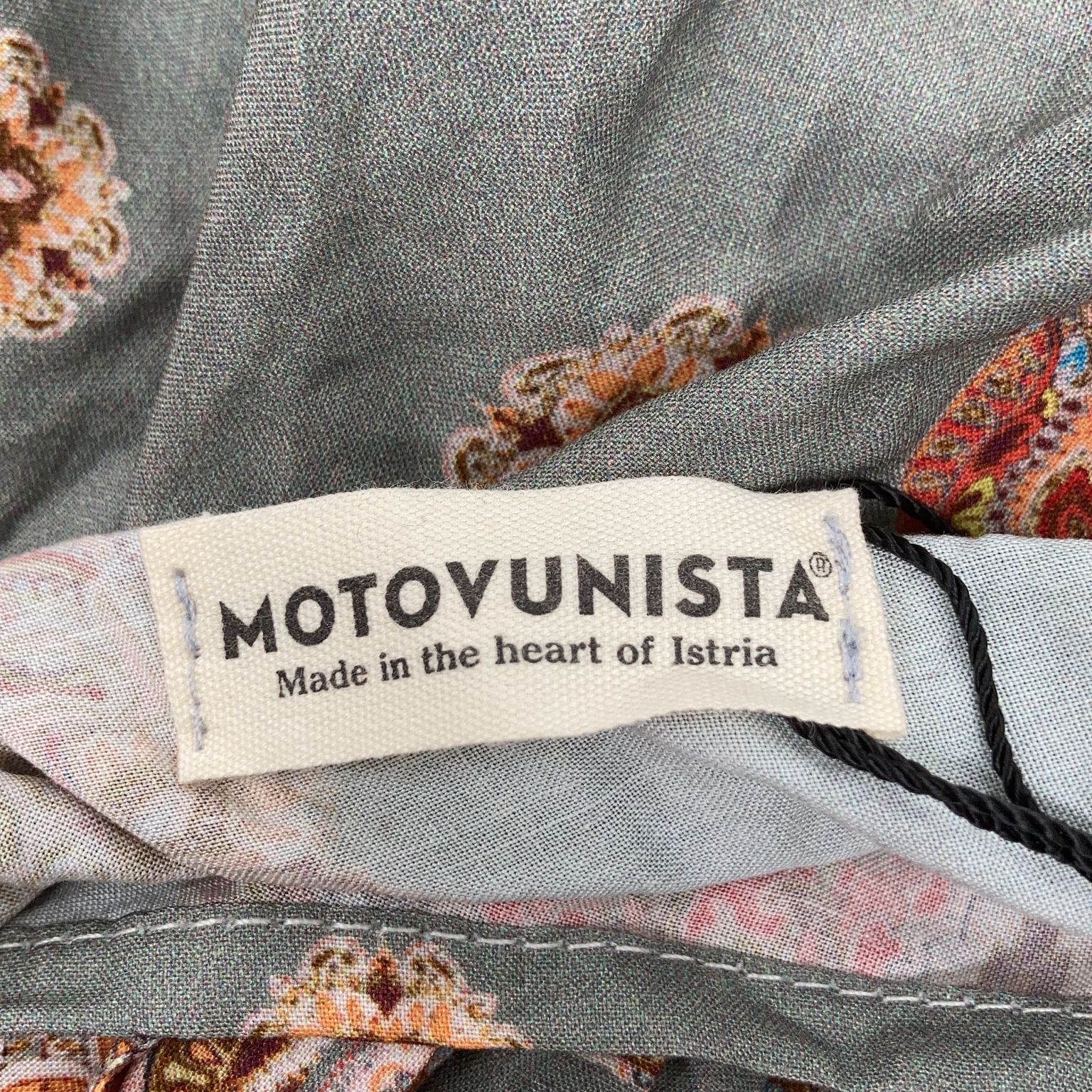 Motovunista