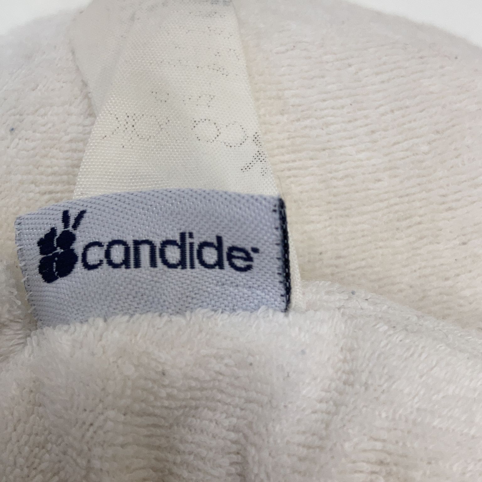 Candide