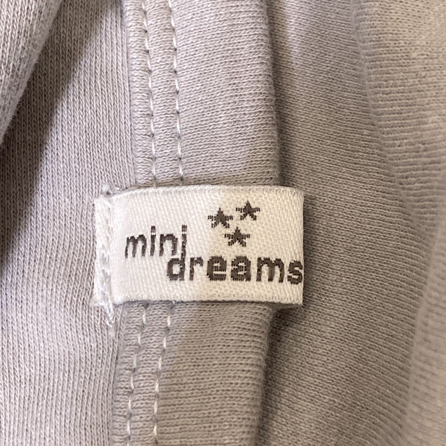 Mini Dreams