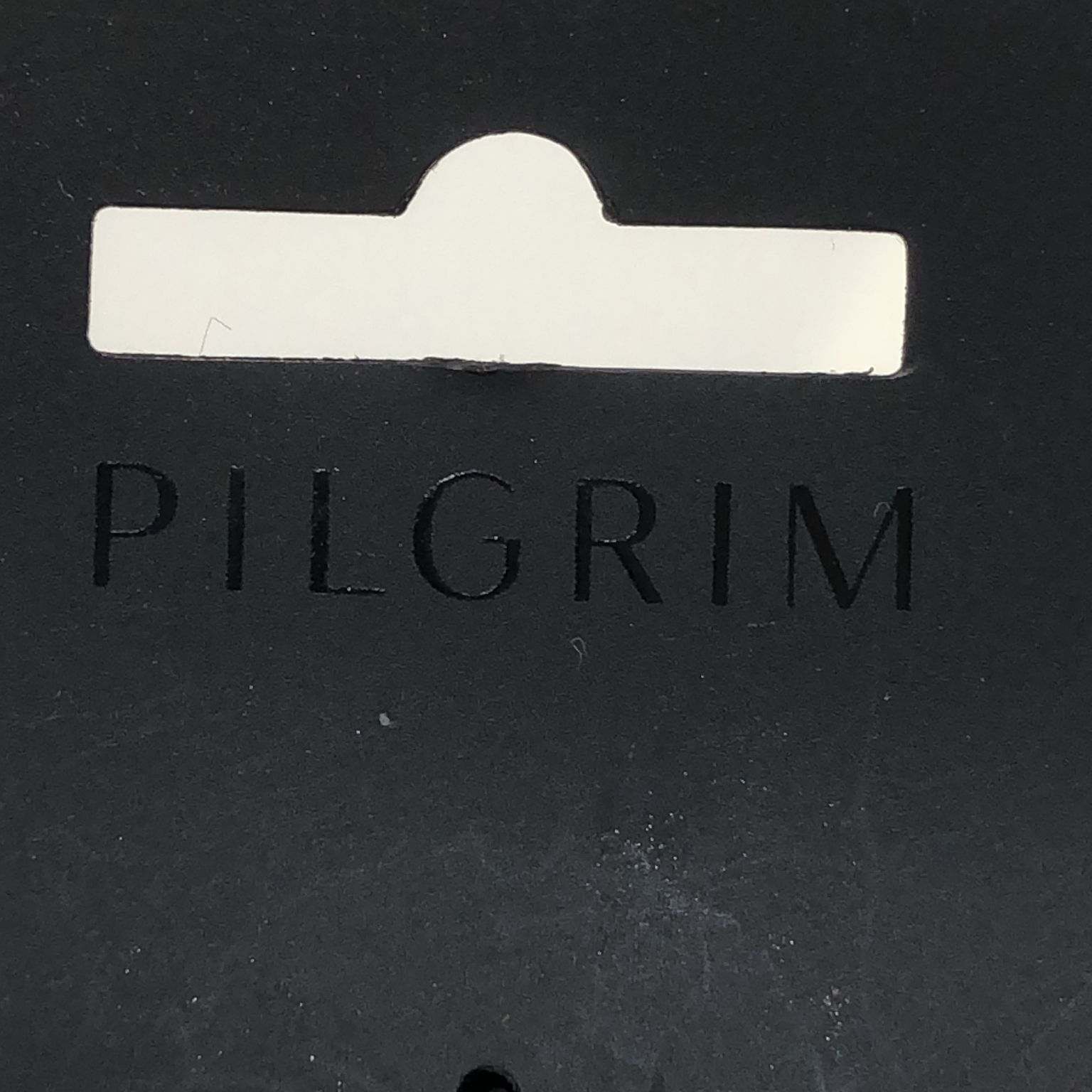 Pilgrim