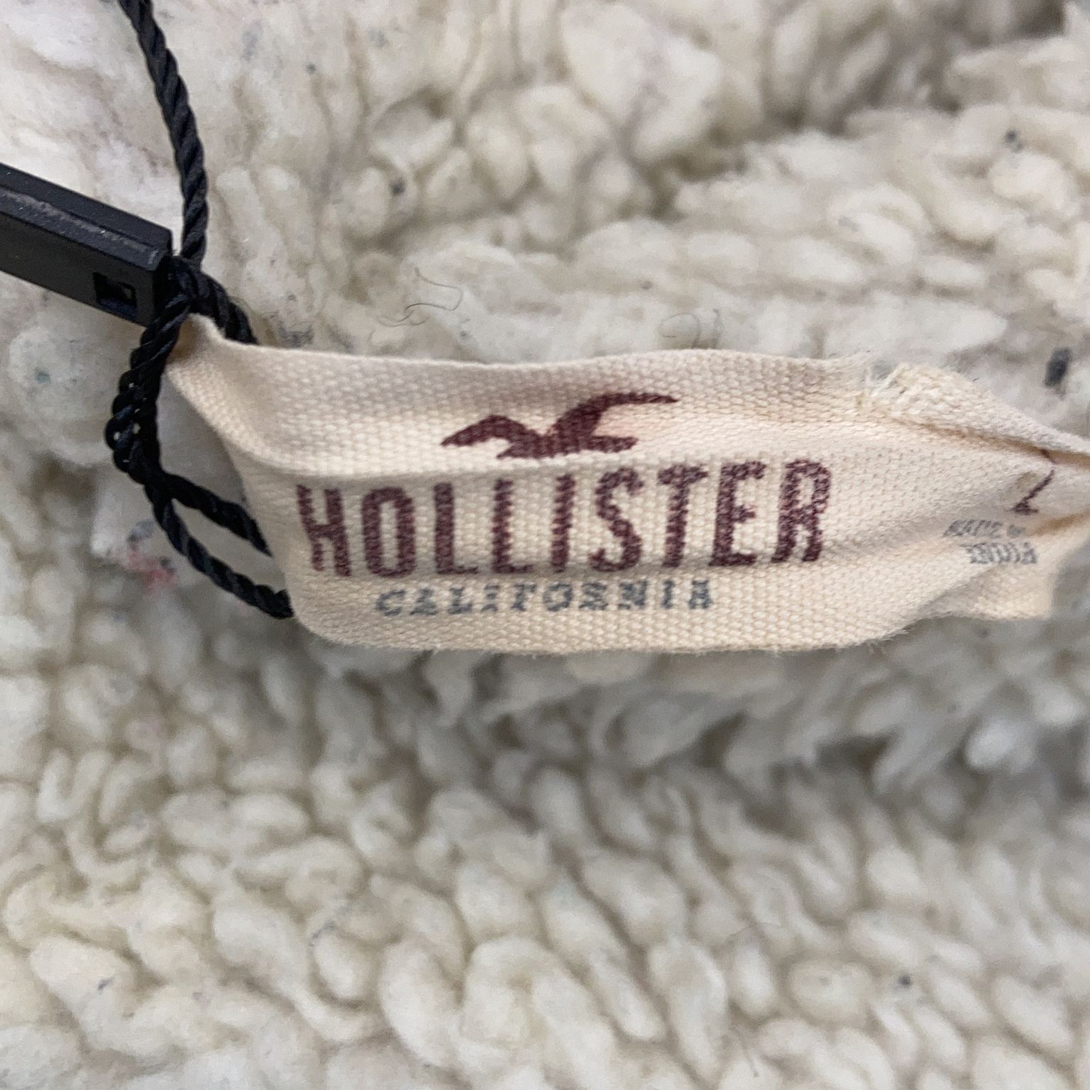 Hollister