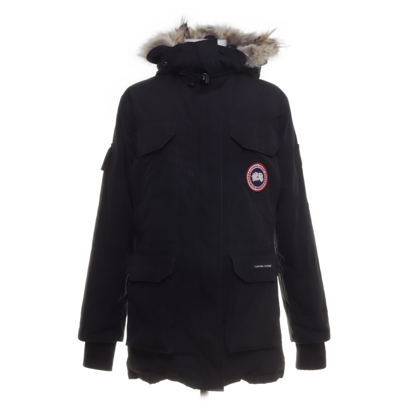 Canada Goose