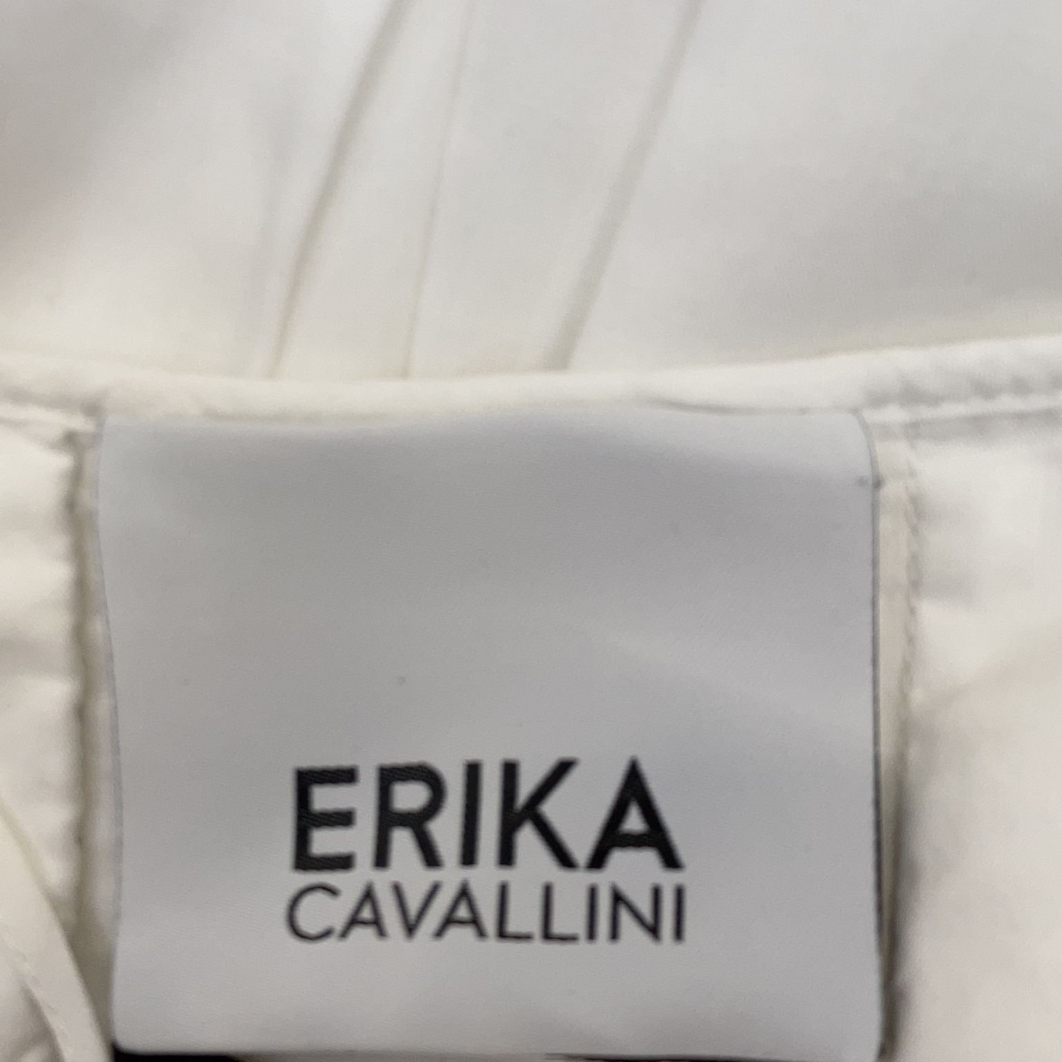 Erika Cavallini