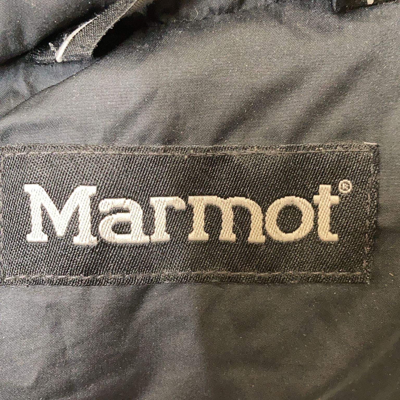 Marmot