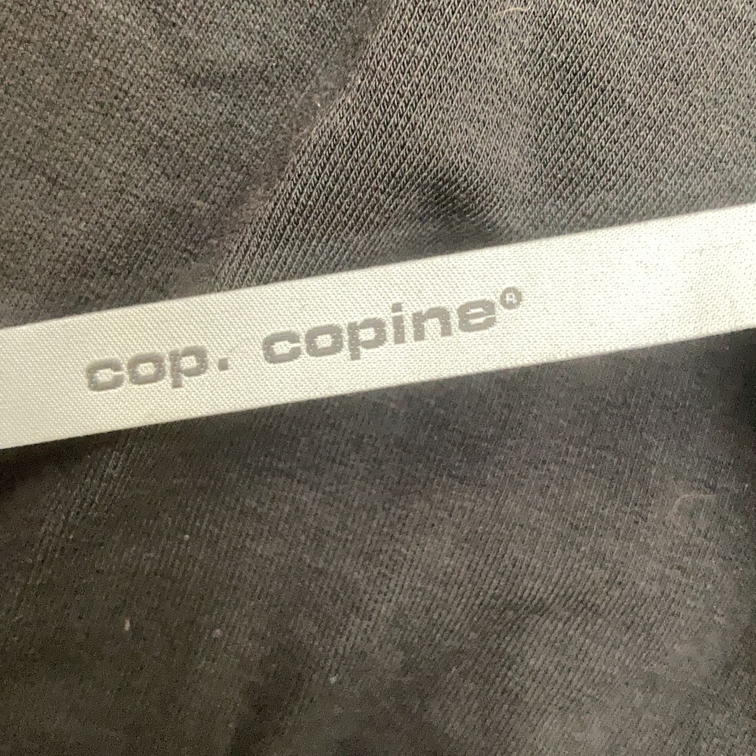 Cop Copine