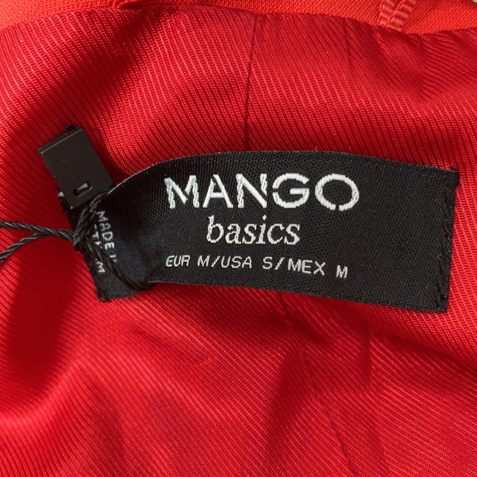 Mango Basics