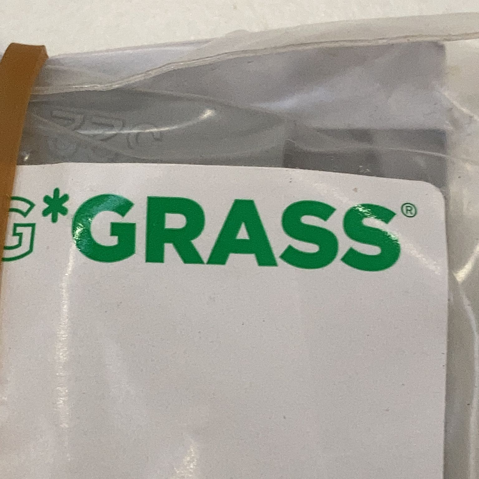 Grass