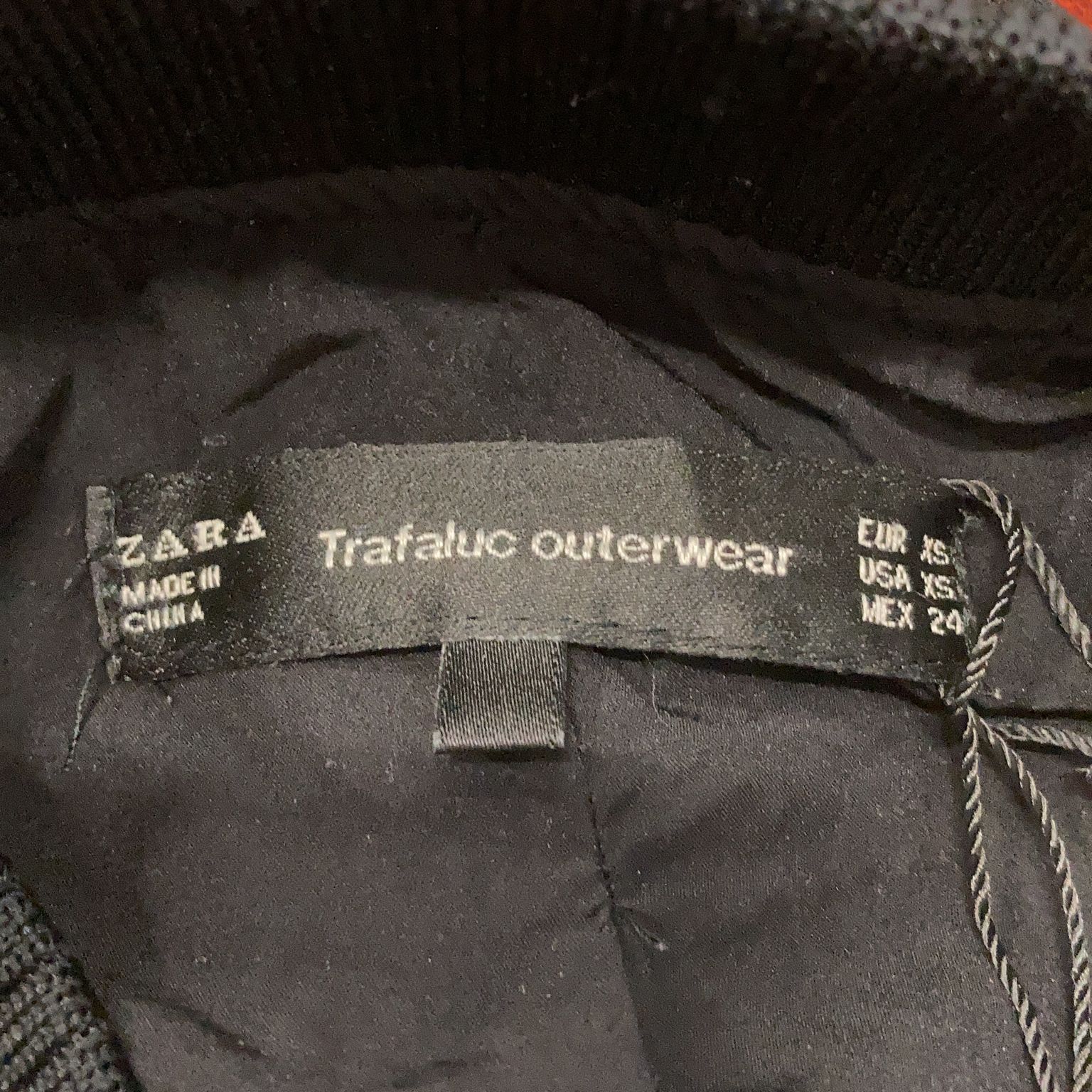 Zara Trafaluc Collection