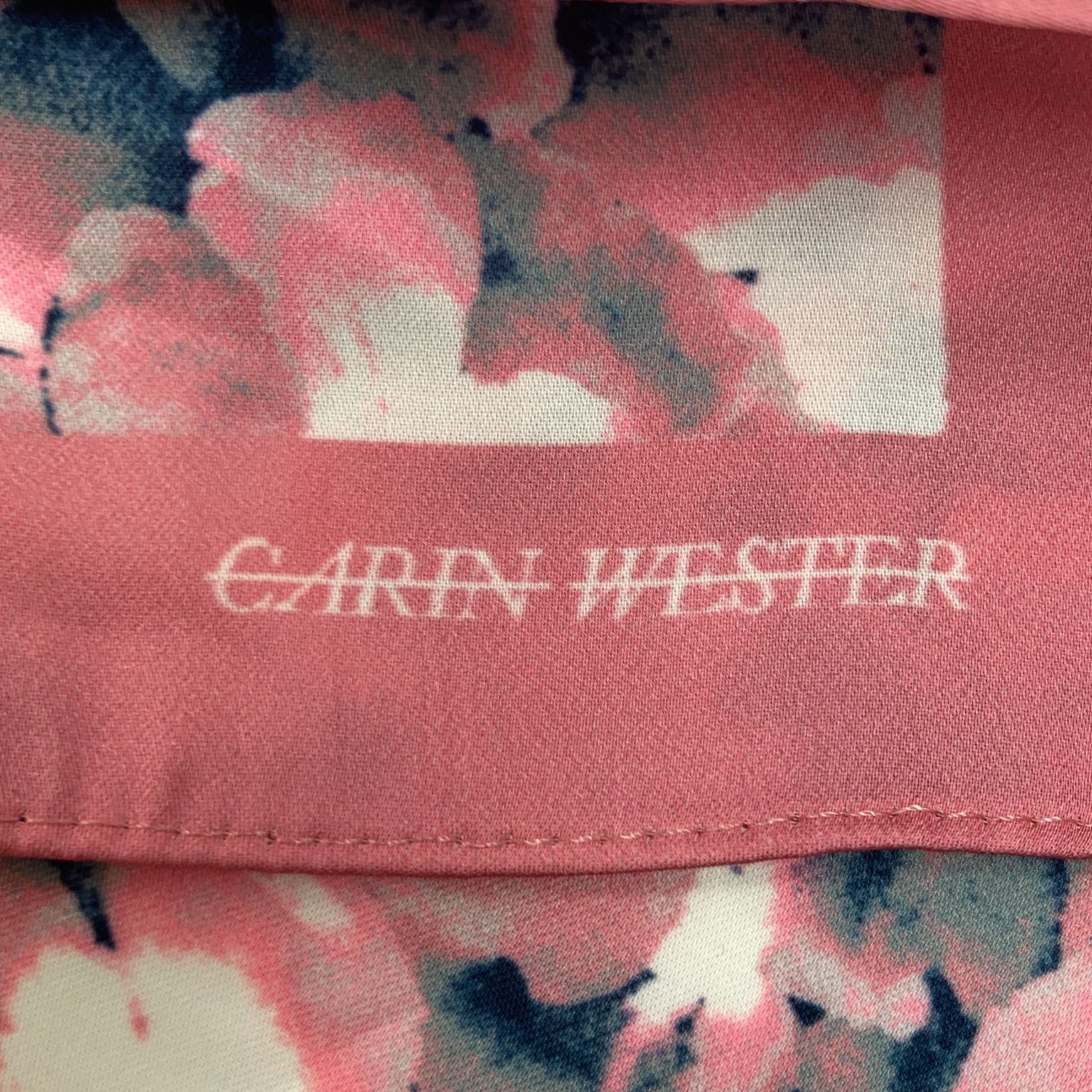 Carin Wester