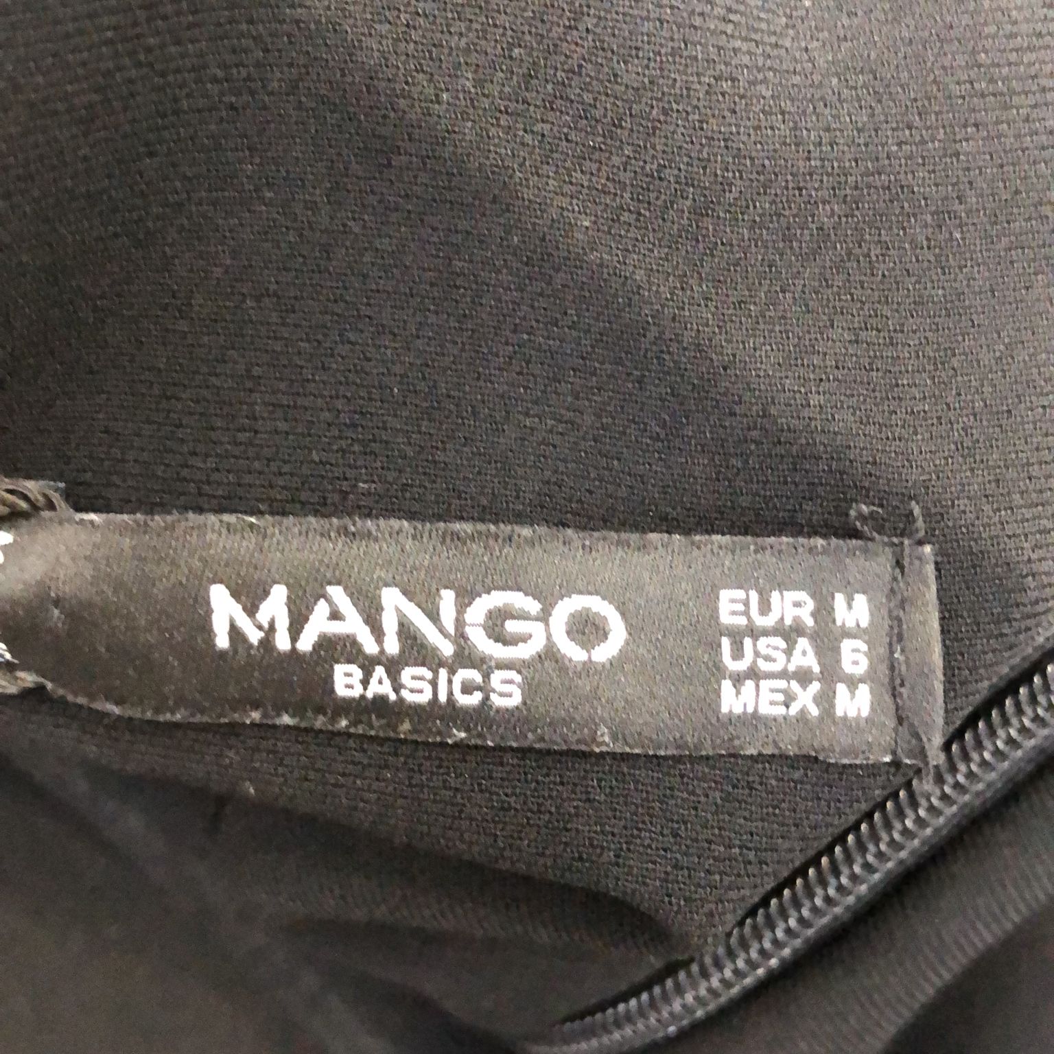 Mango Basics