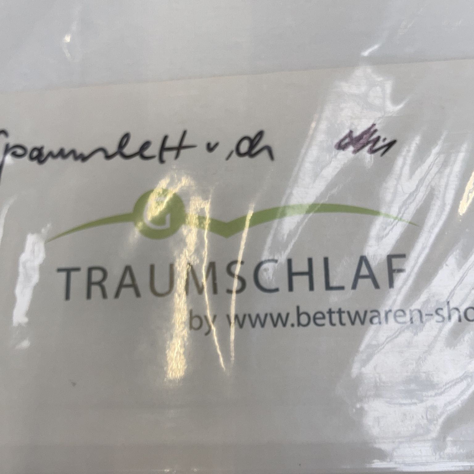 Traumschlaf