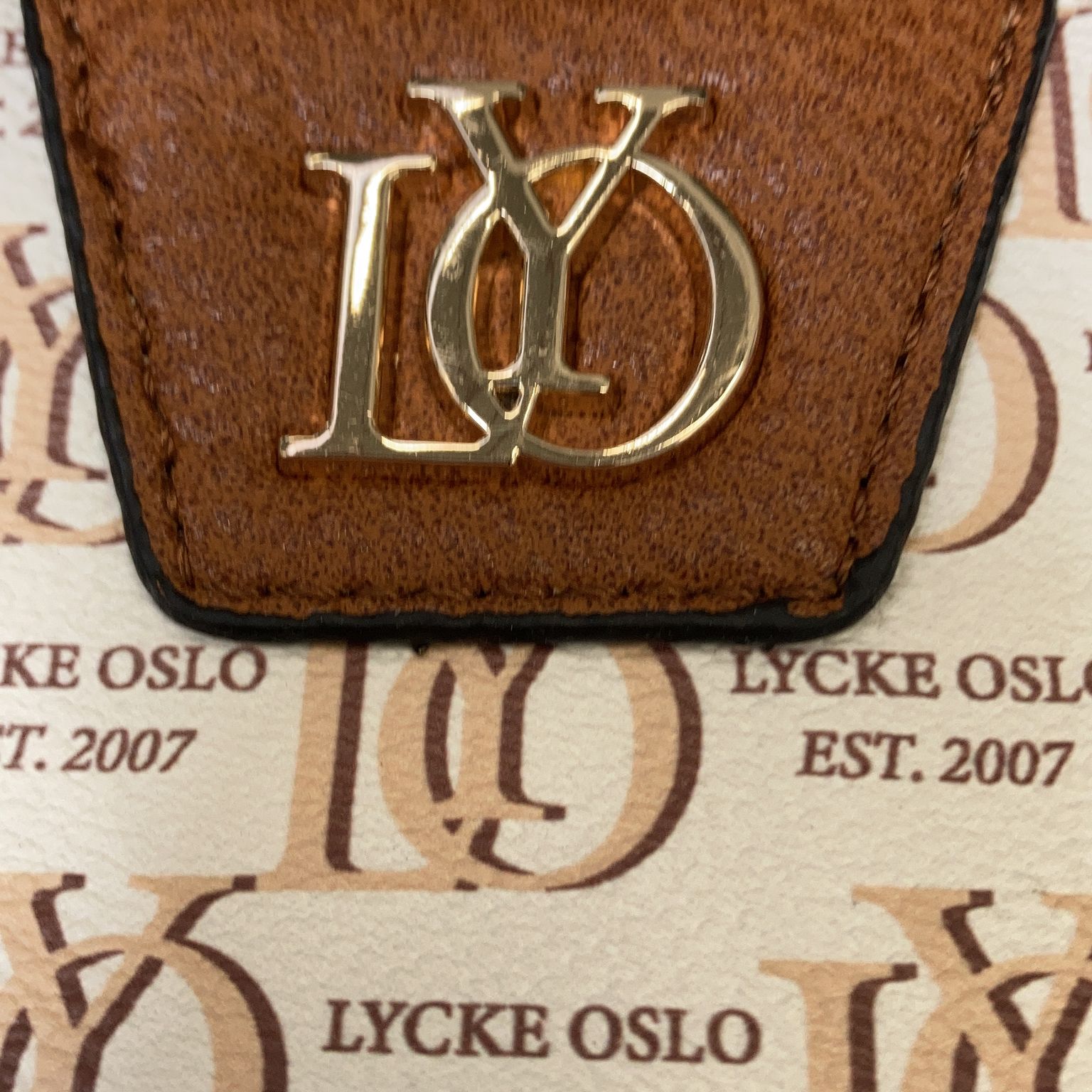 Lycke Oslo