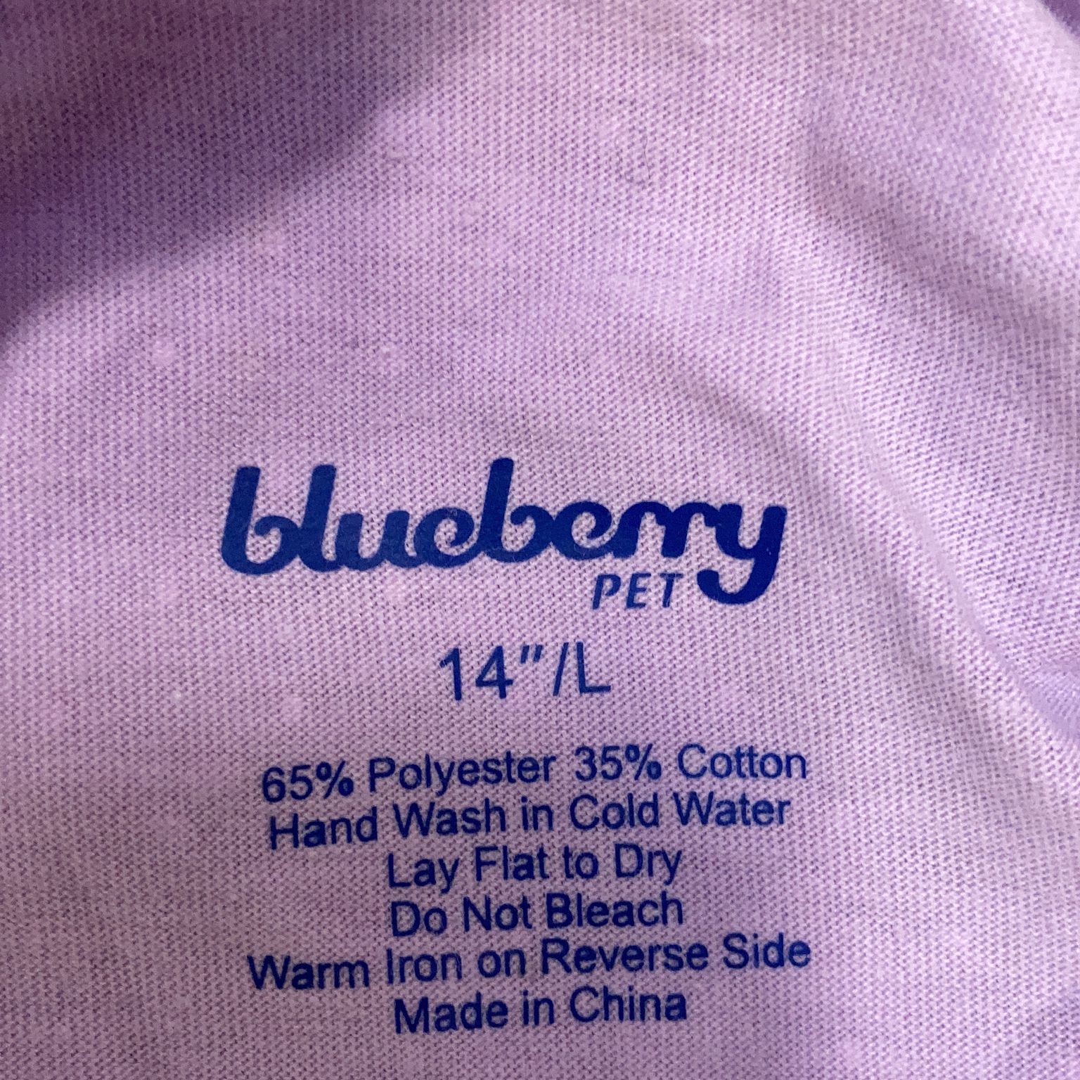 Blueberry