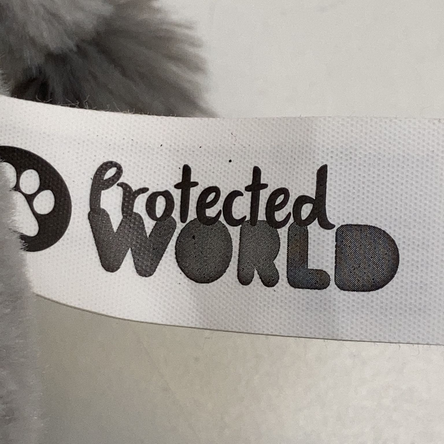 Protected World