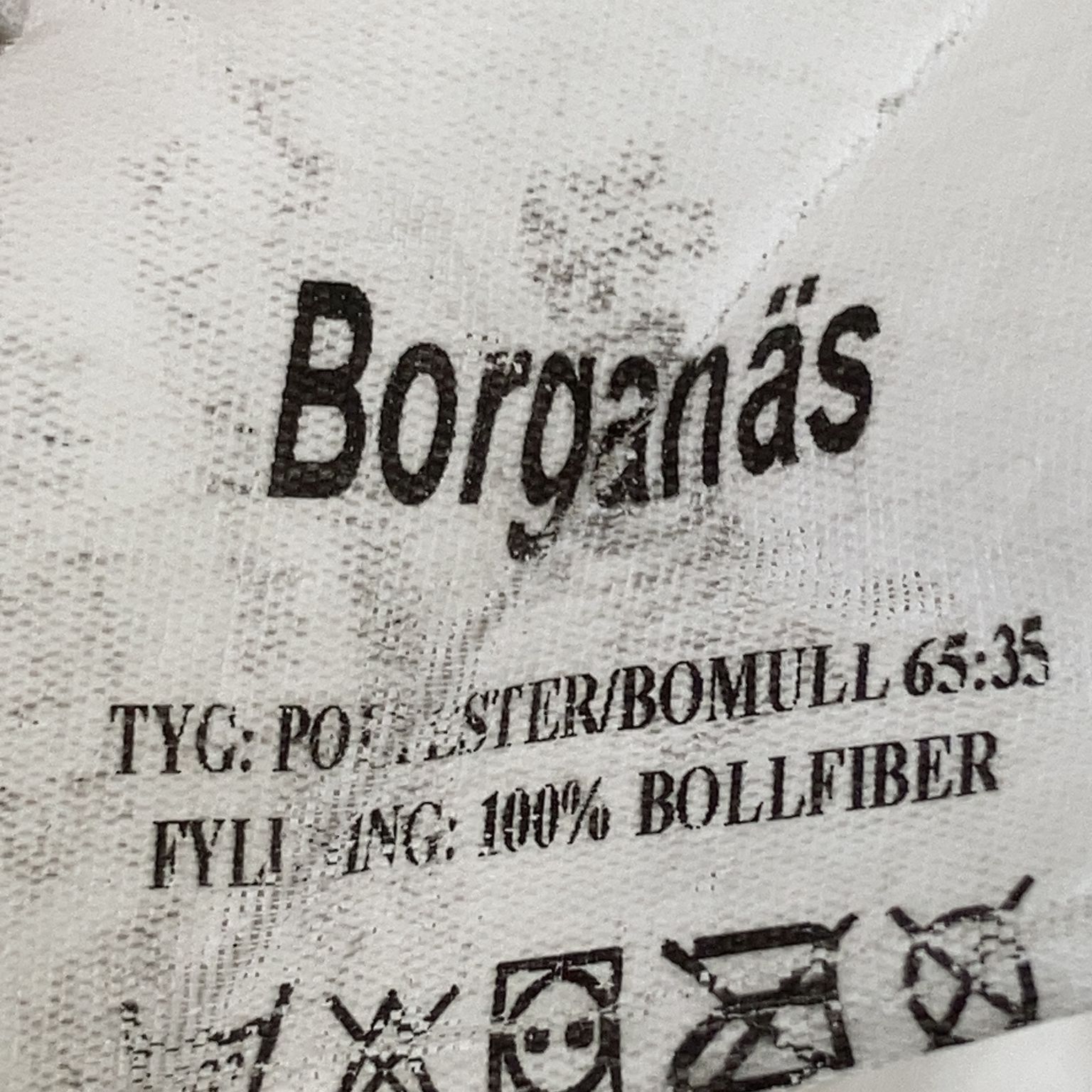 Borganäs