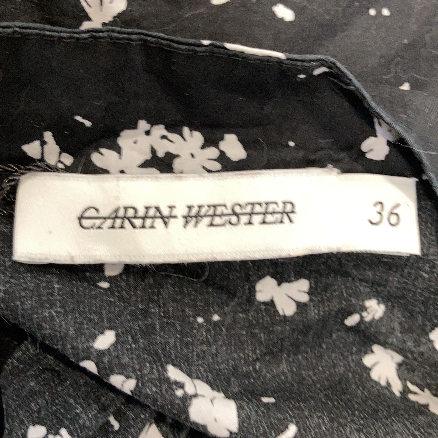 Carin Wester