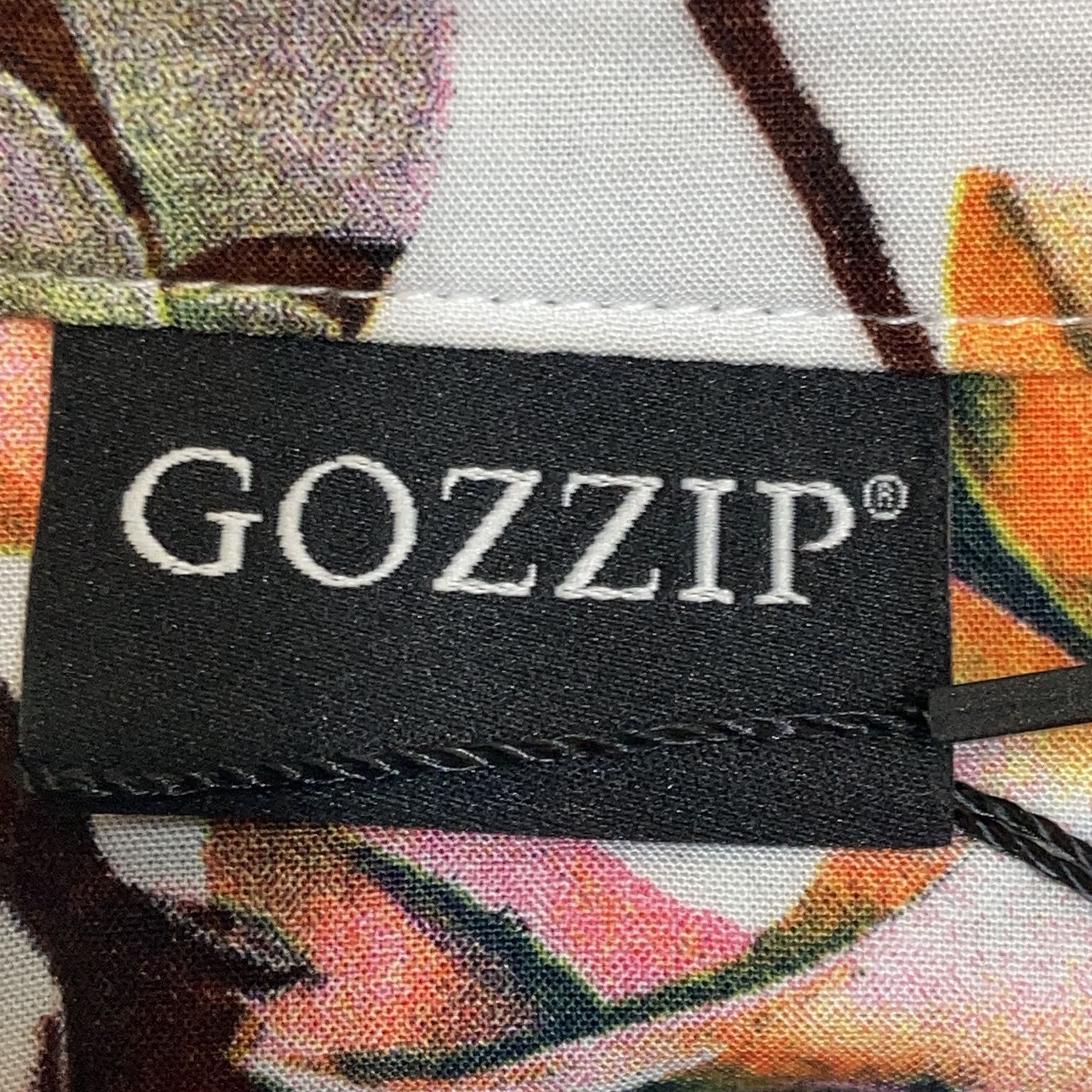 Gozzip