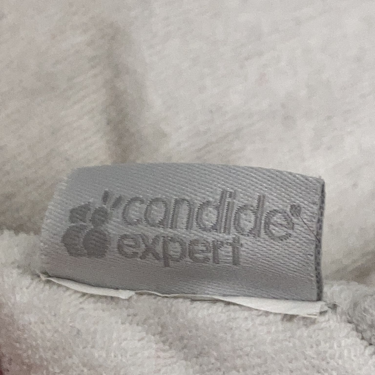 Candide Expert