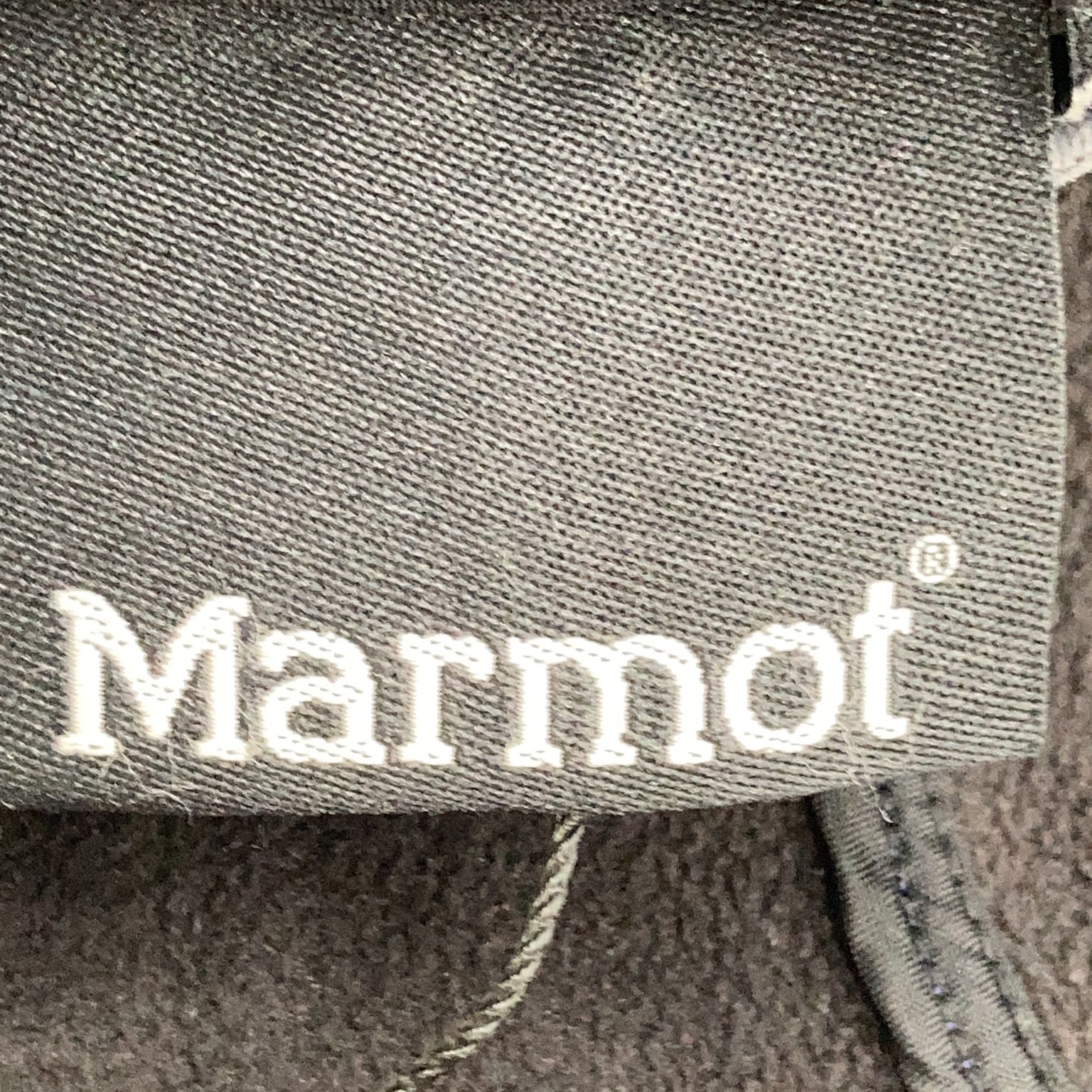 Marmot