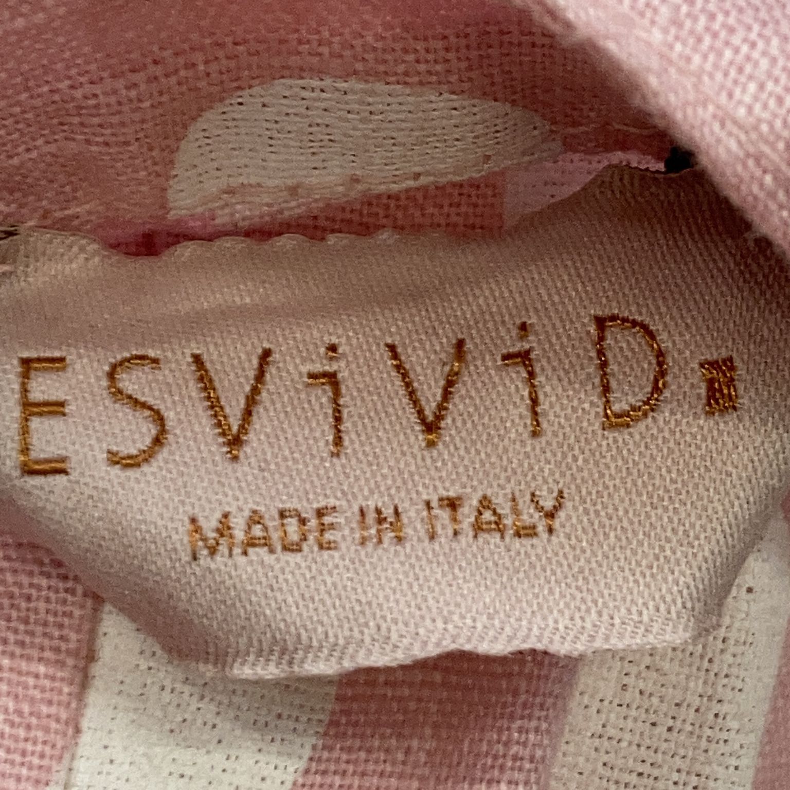 ESViViD