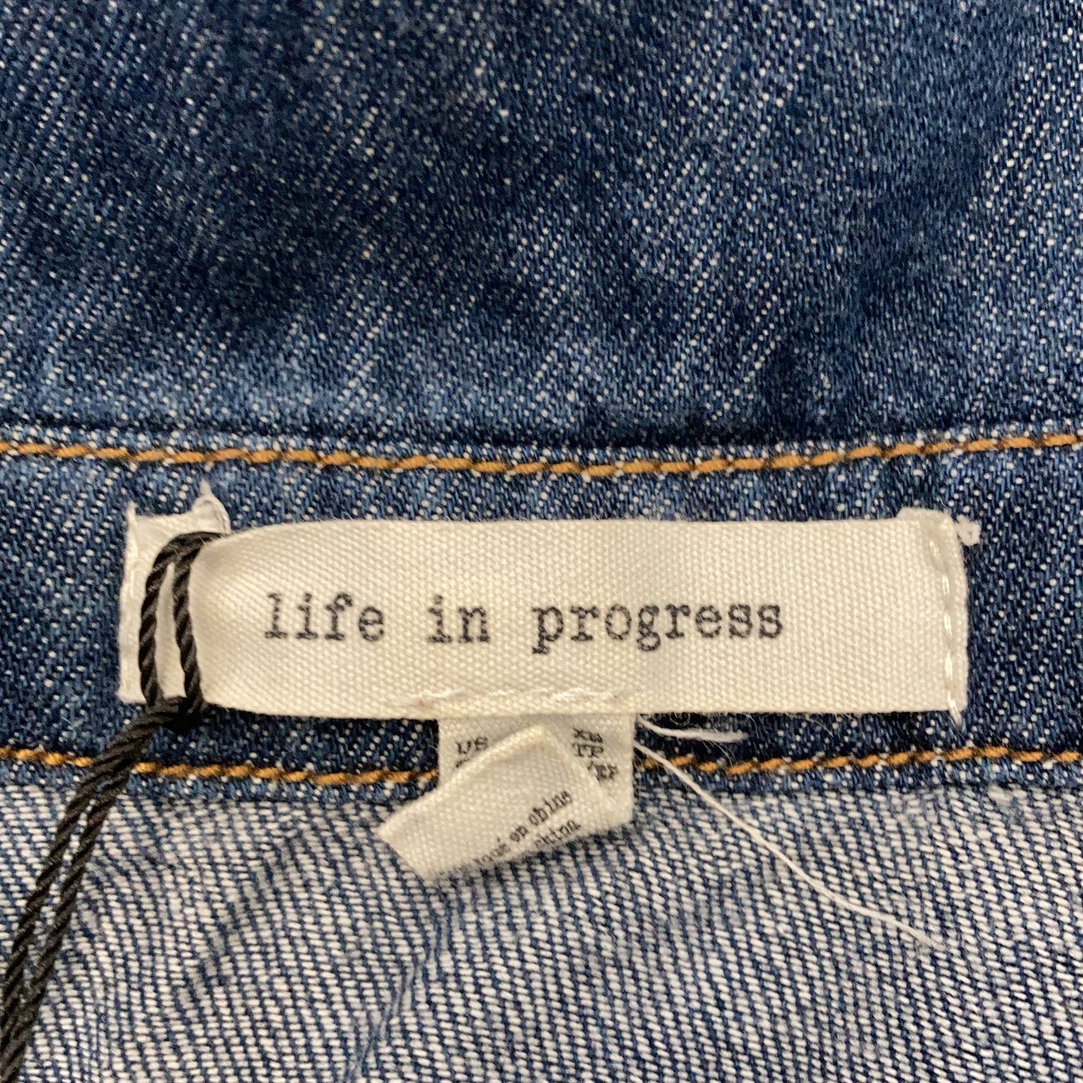 Life in Progress