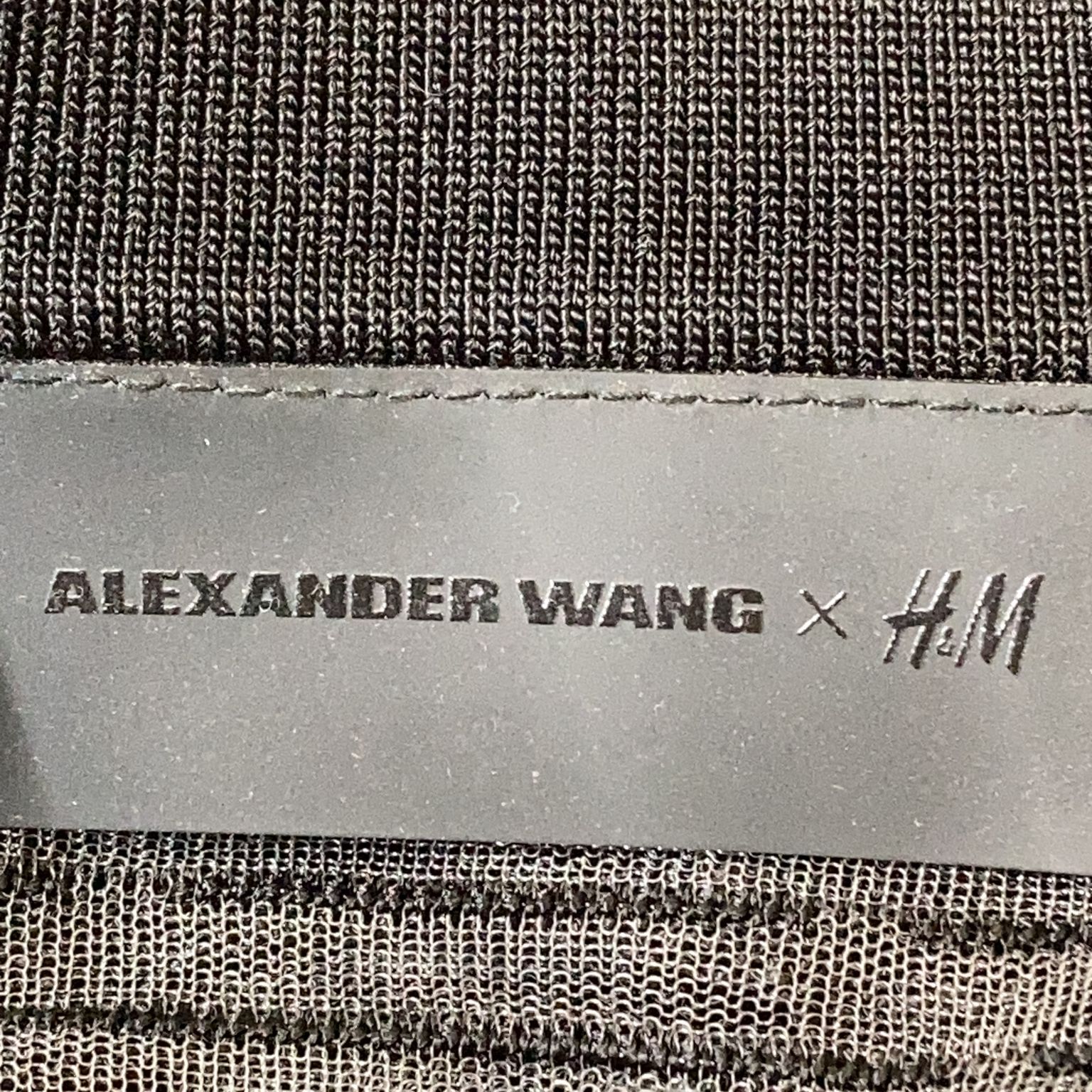 Alexander Wang x HM