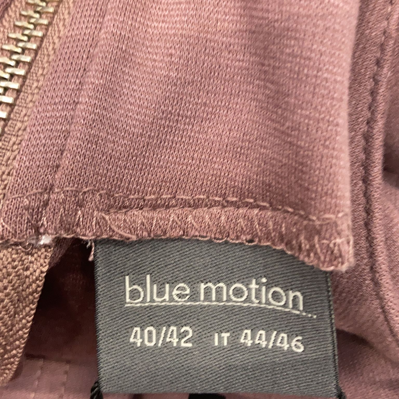 Blue Motion