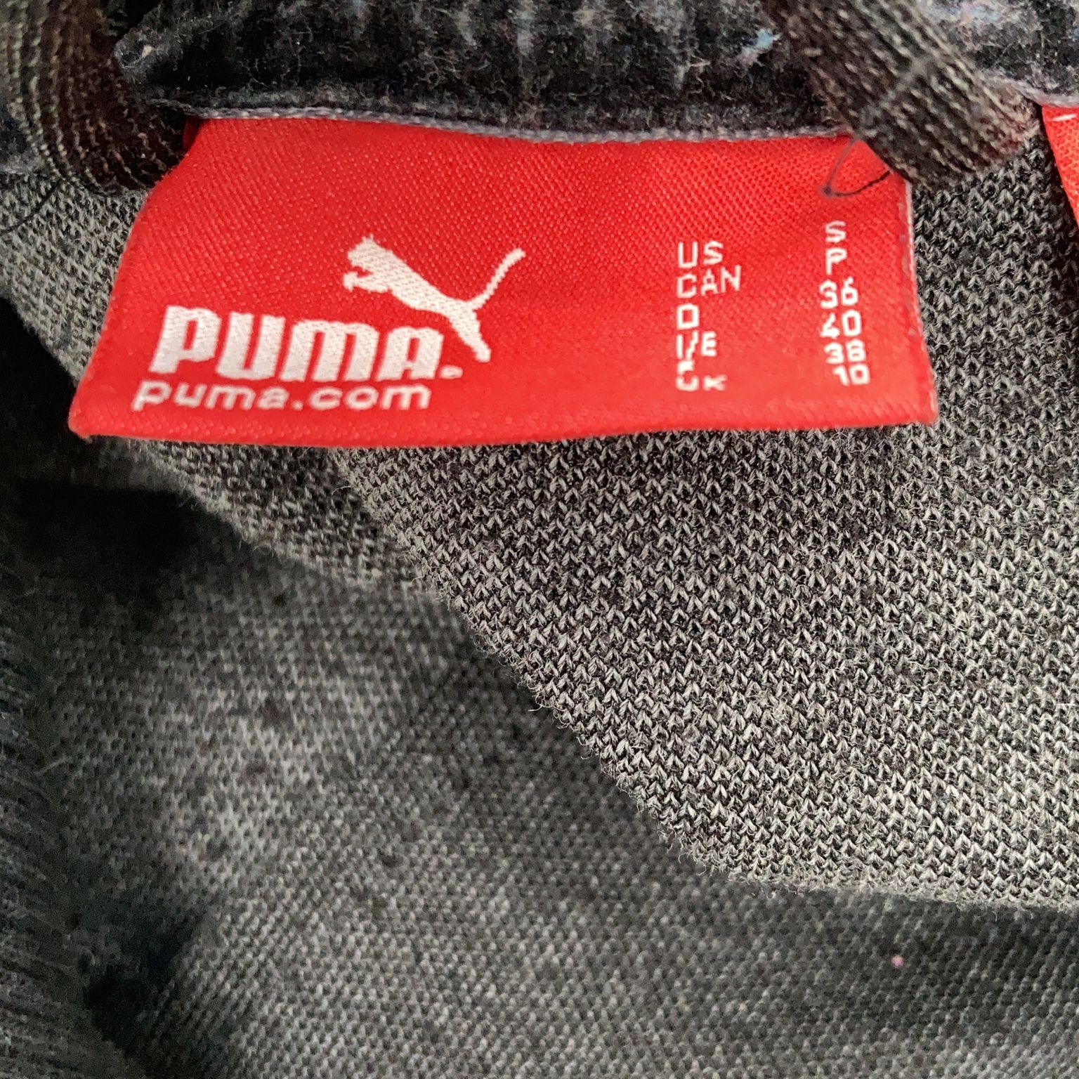 Puma