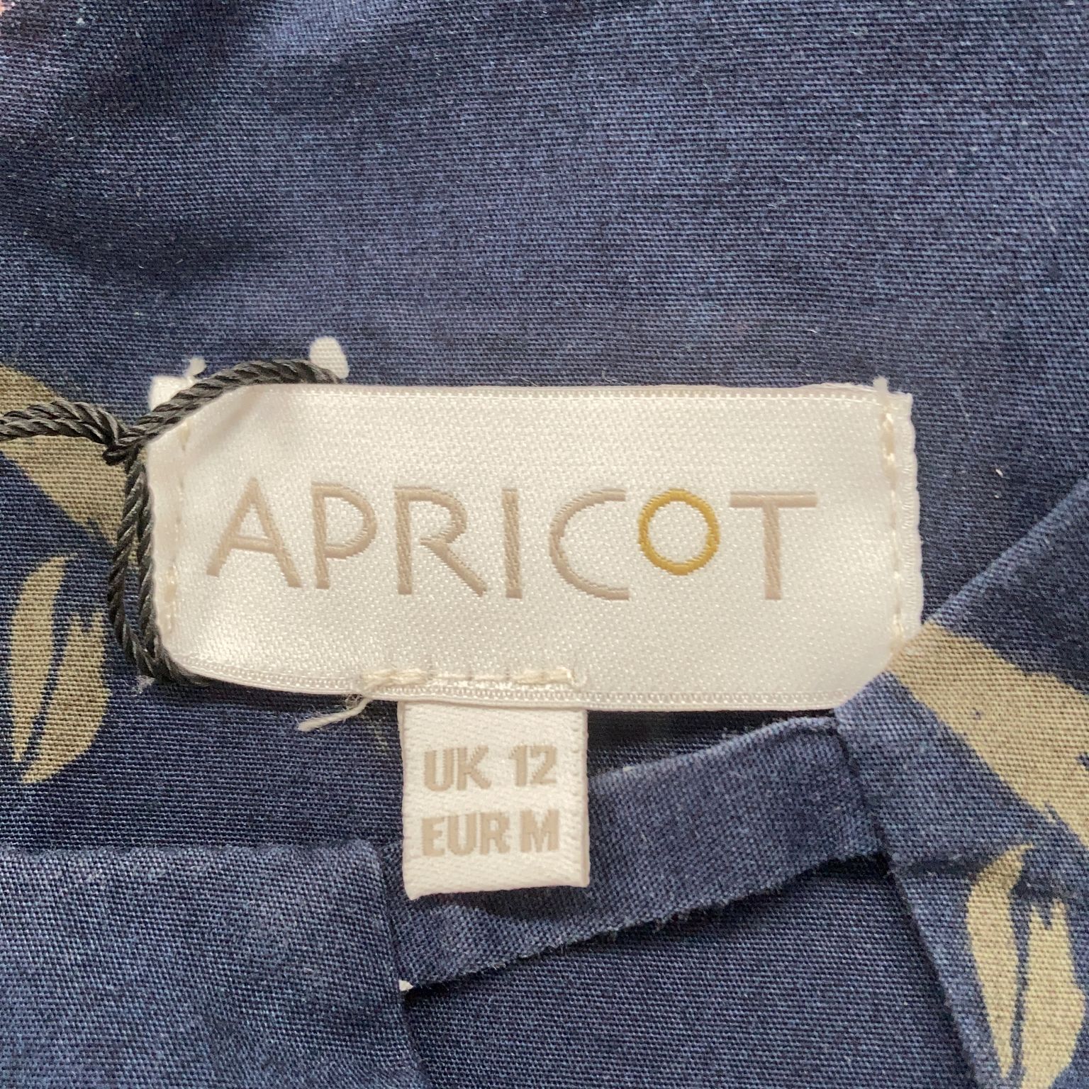 Apricot