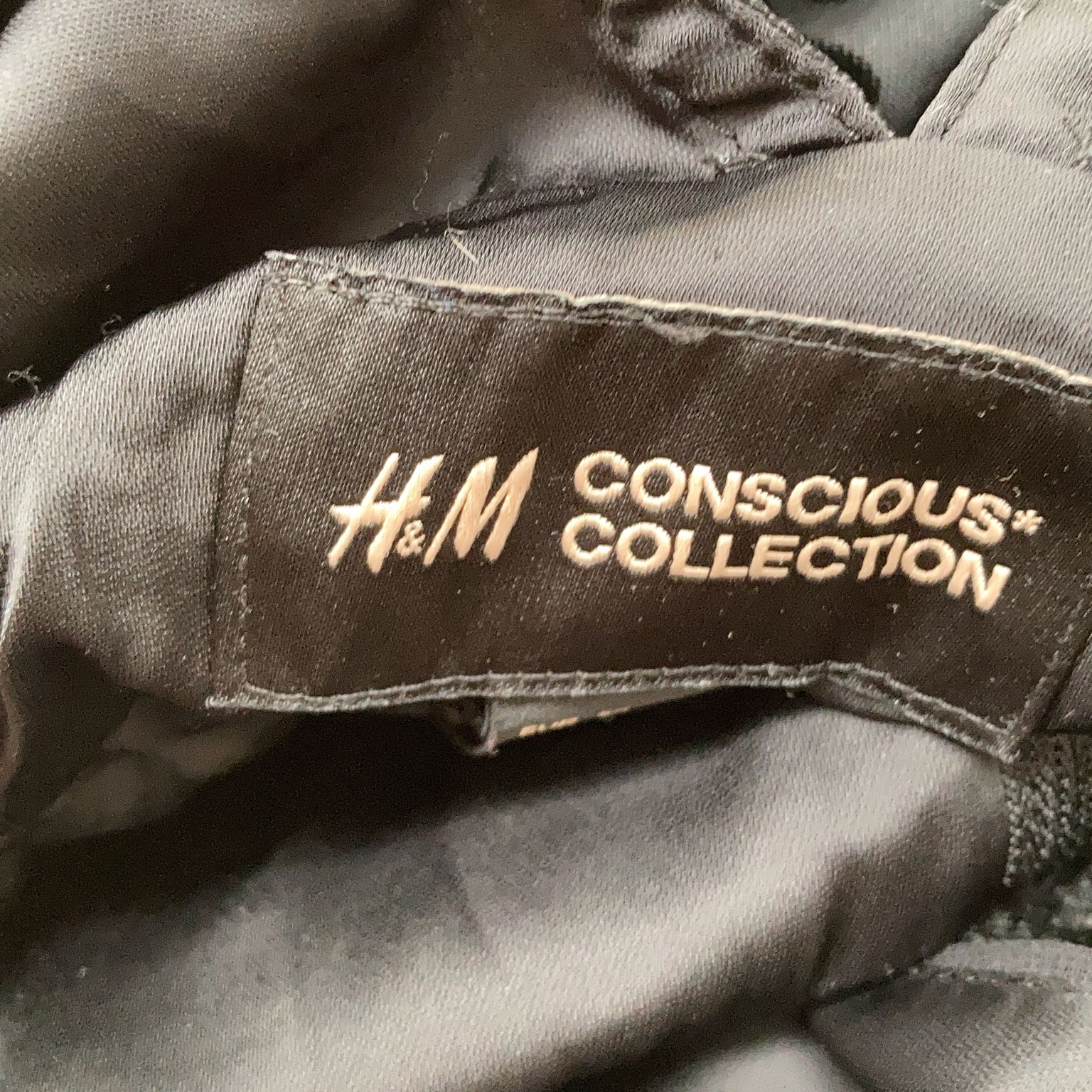 HM Conscious Collection