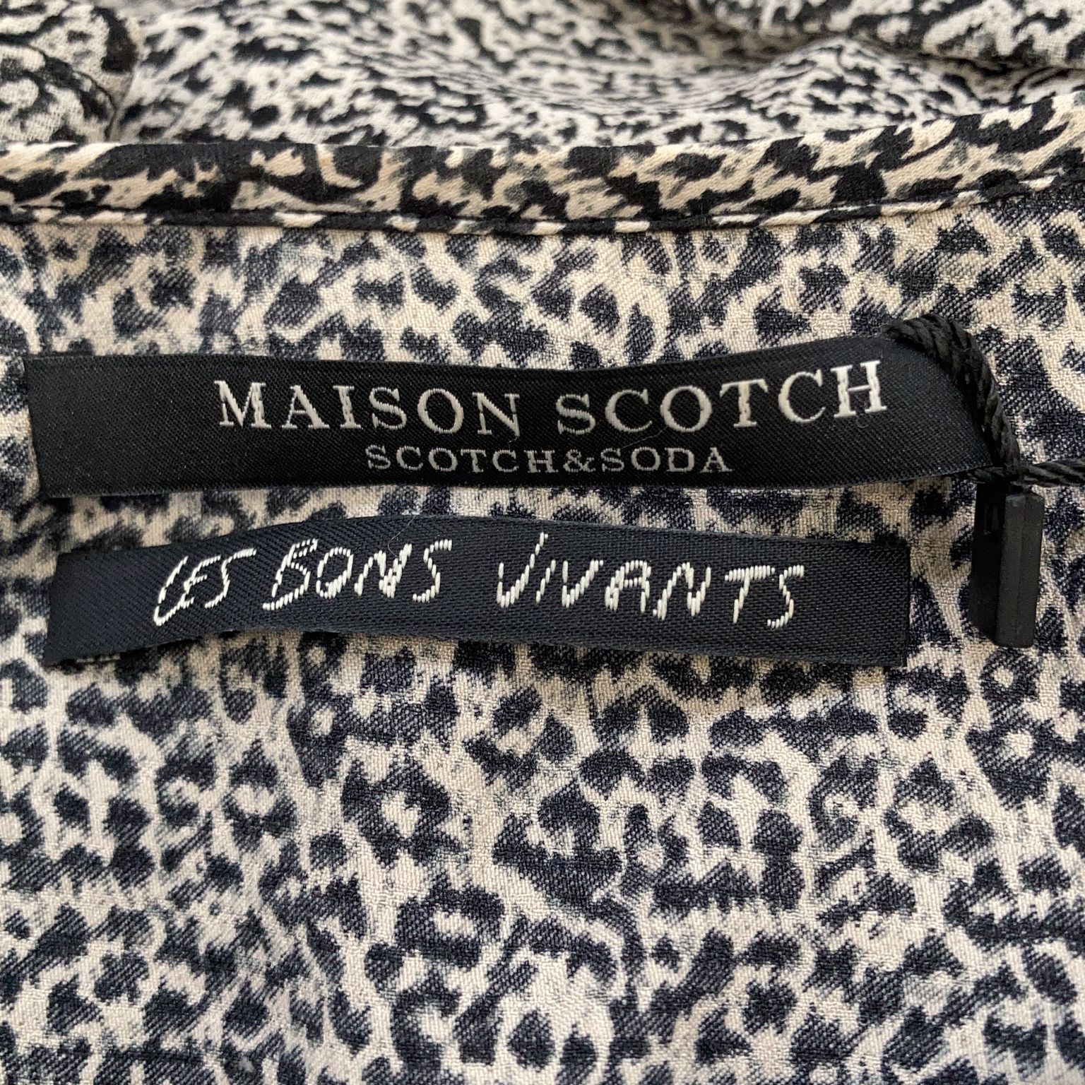 Maison Scotch