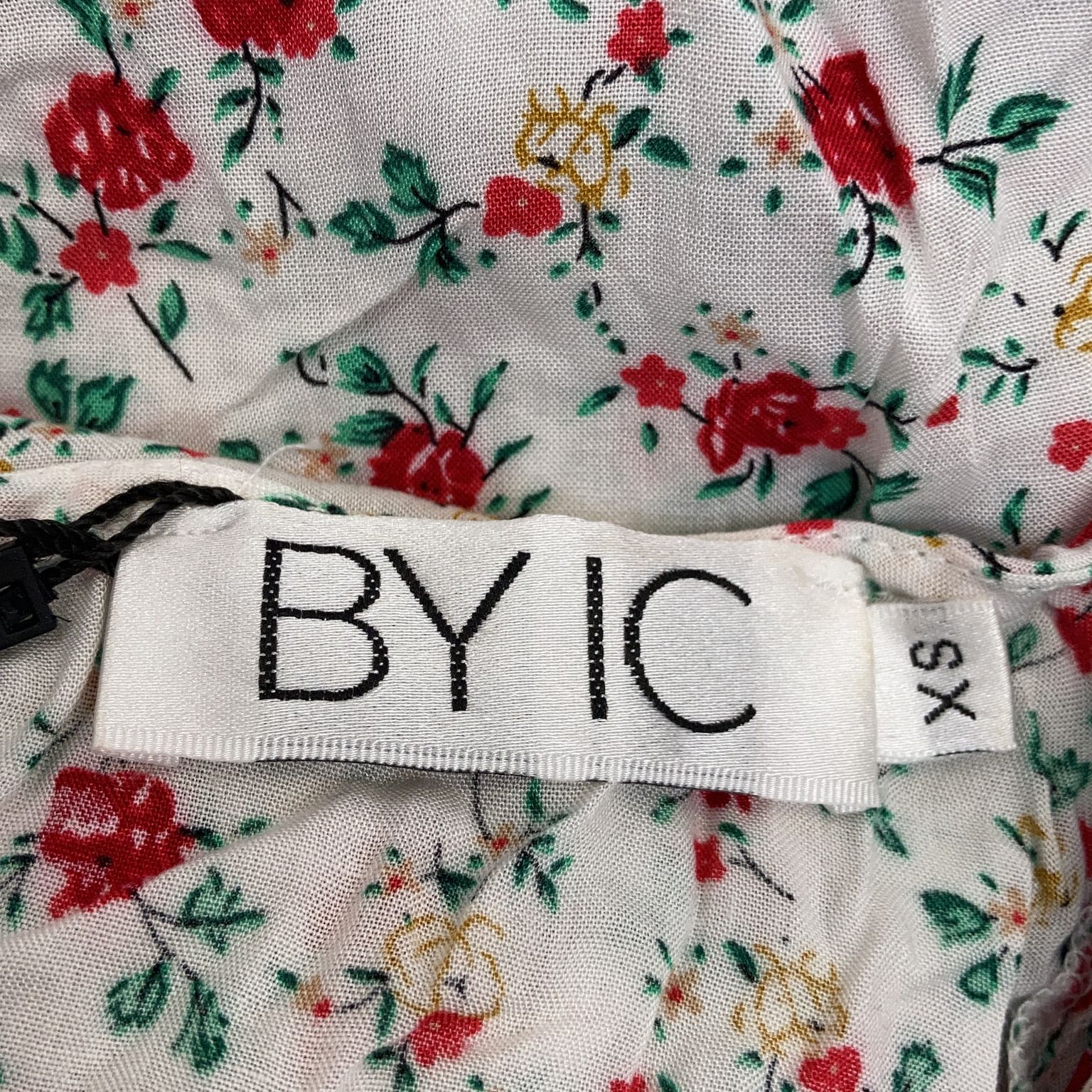 BYIC