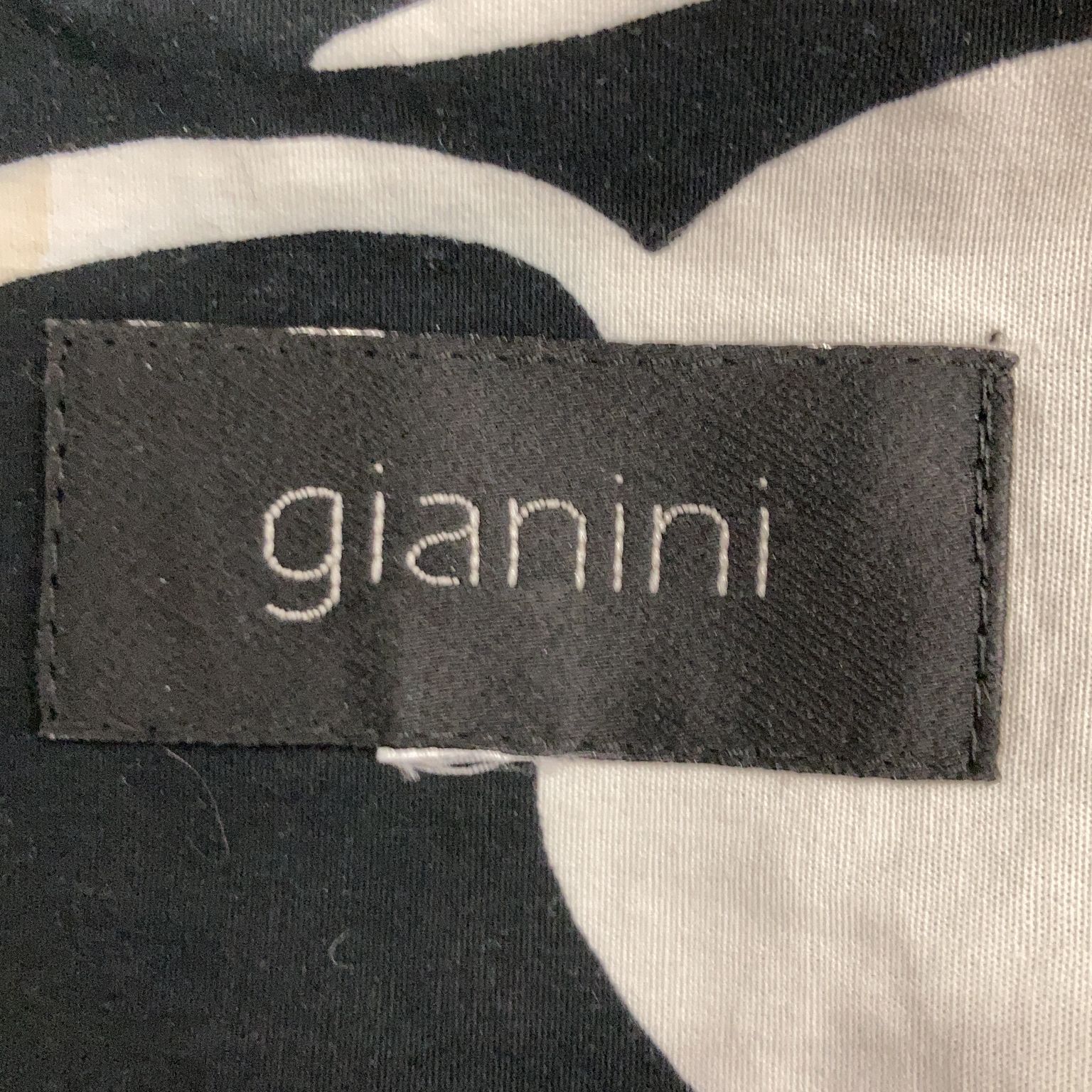 Gianini