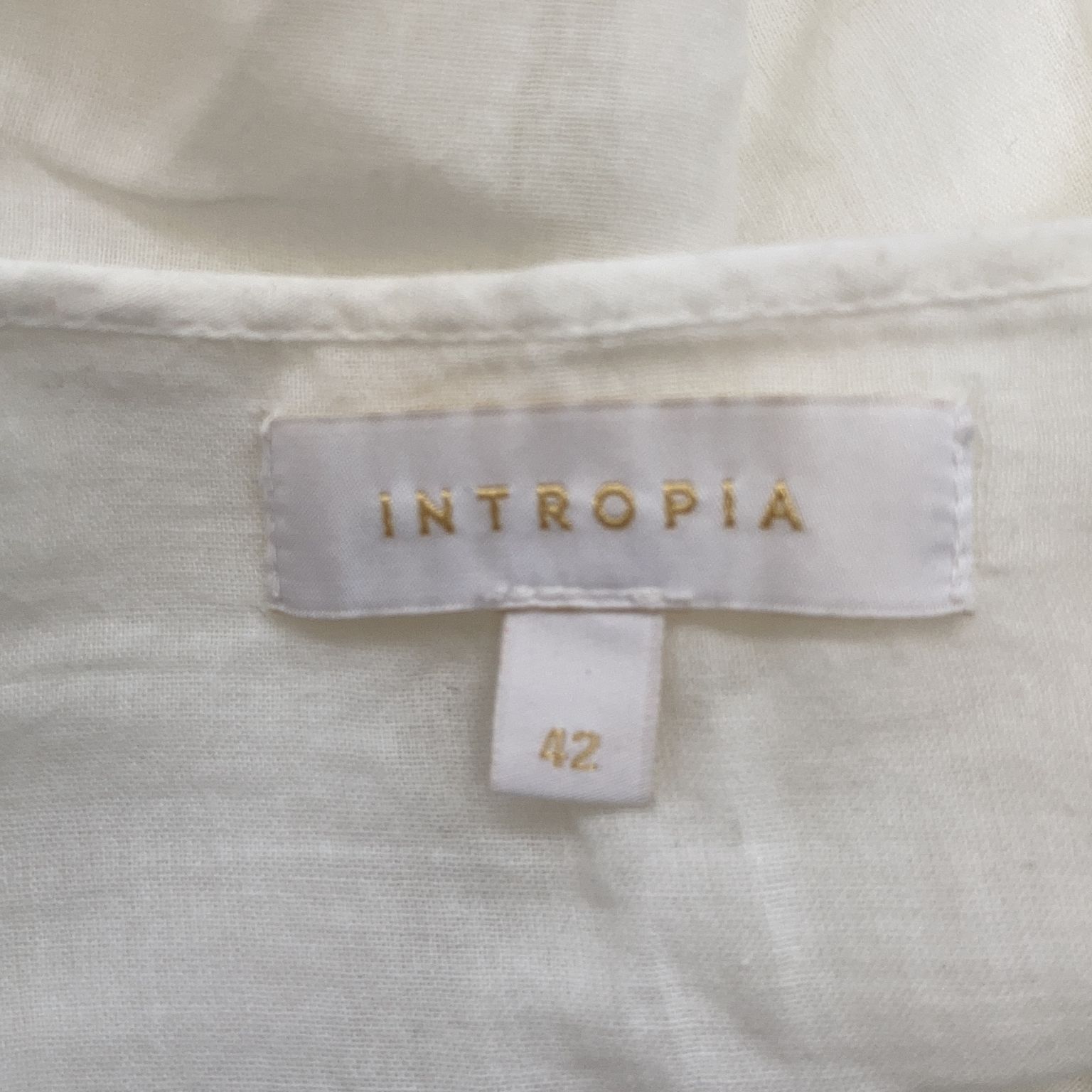 Intropia