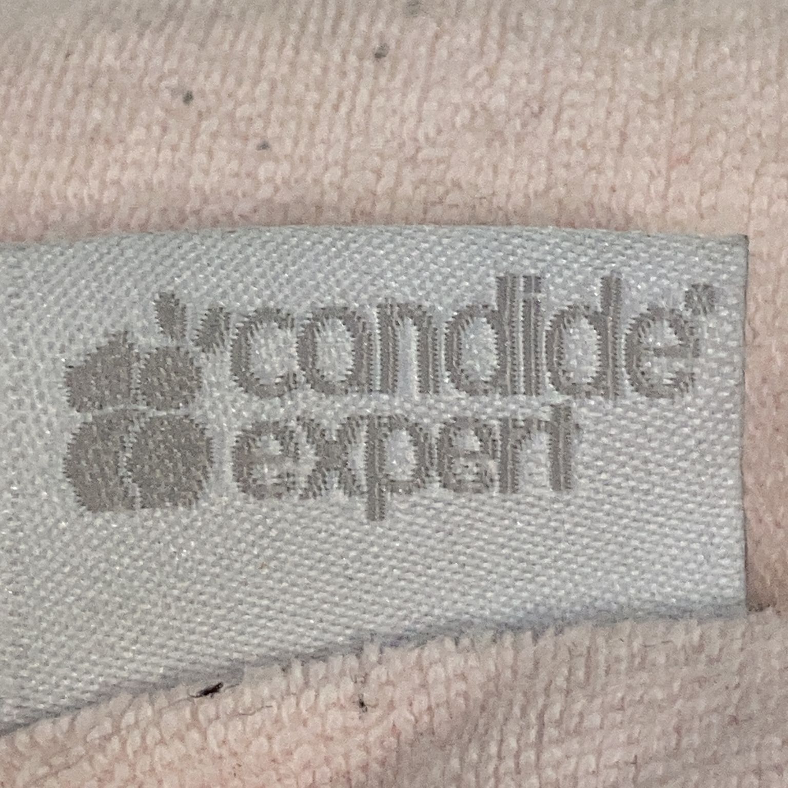 Candide Expert