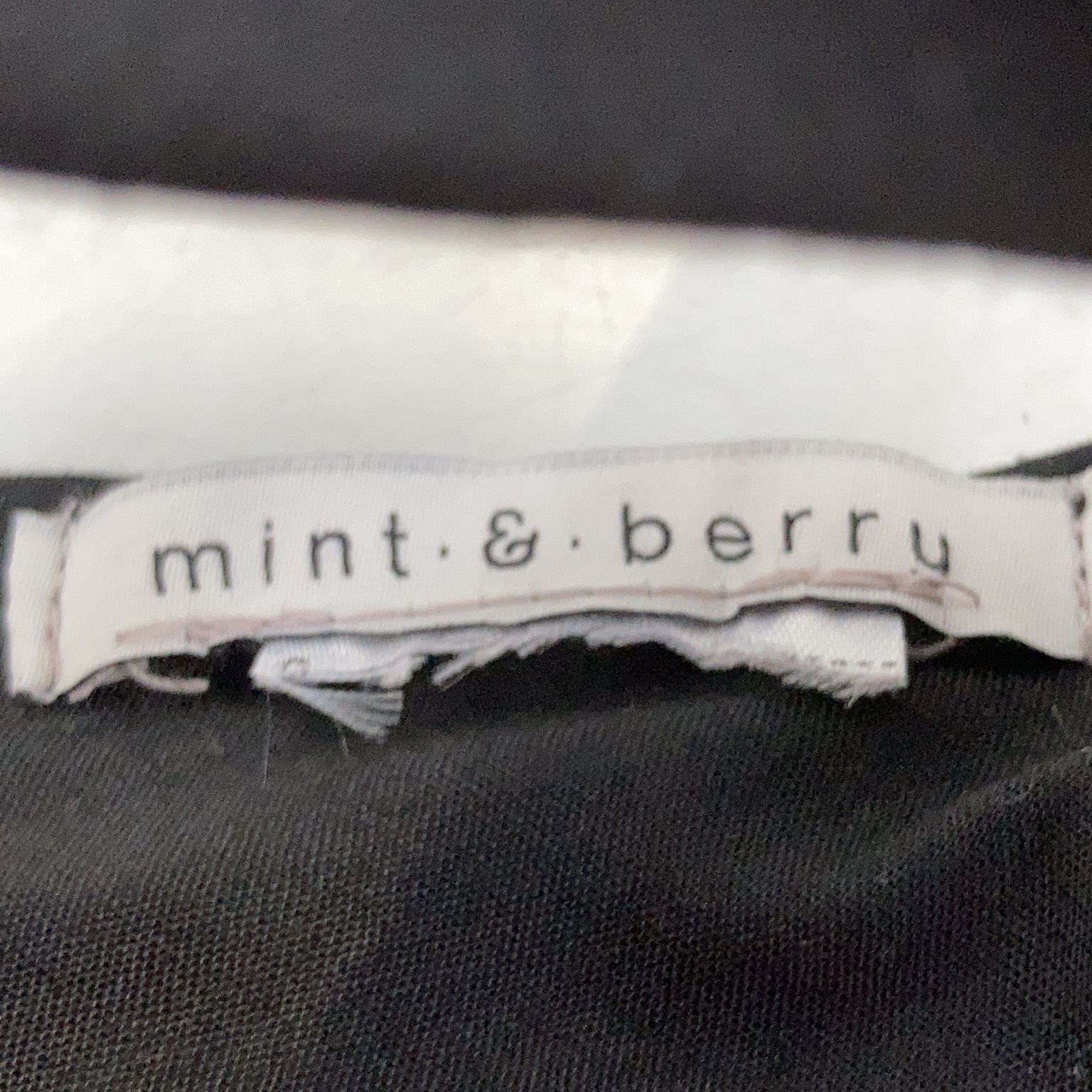 Mint  Berry