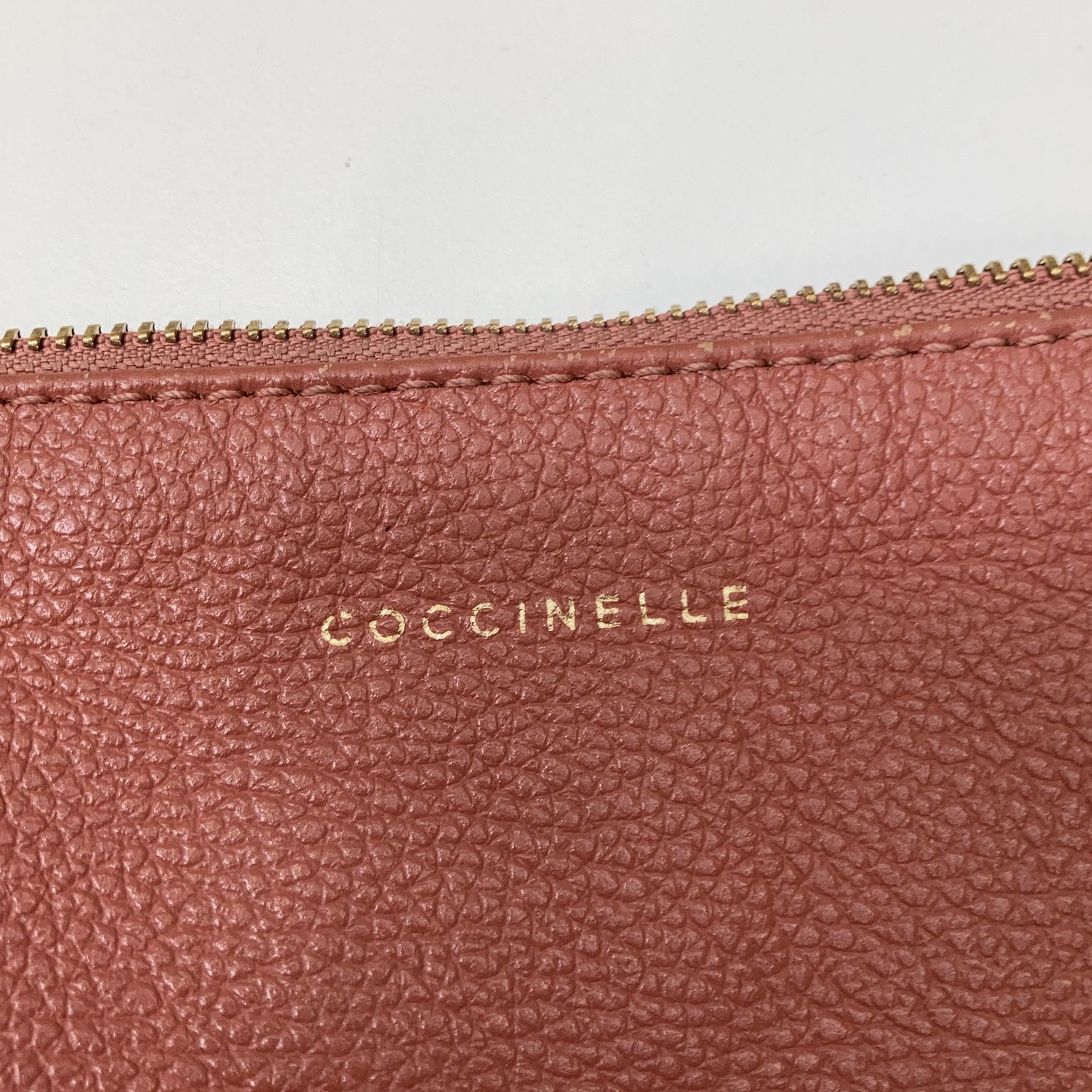 Coccinelle